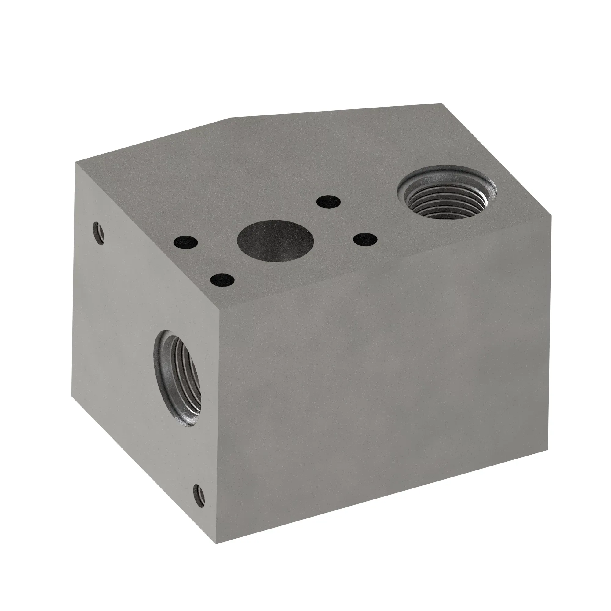 Manifold