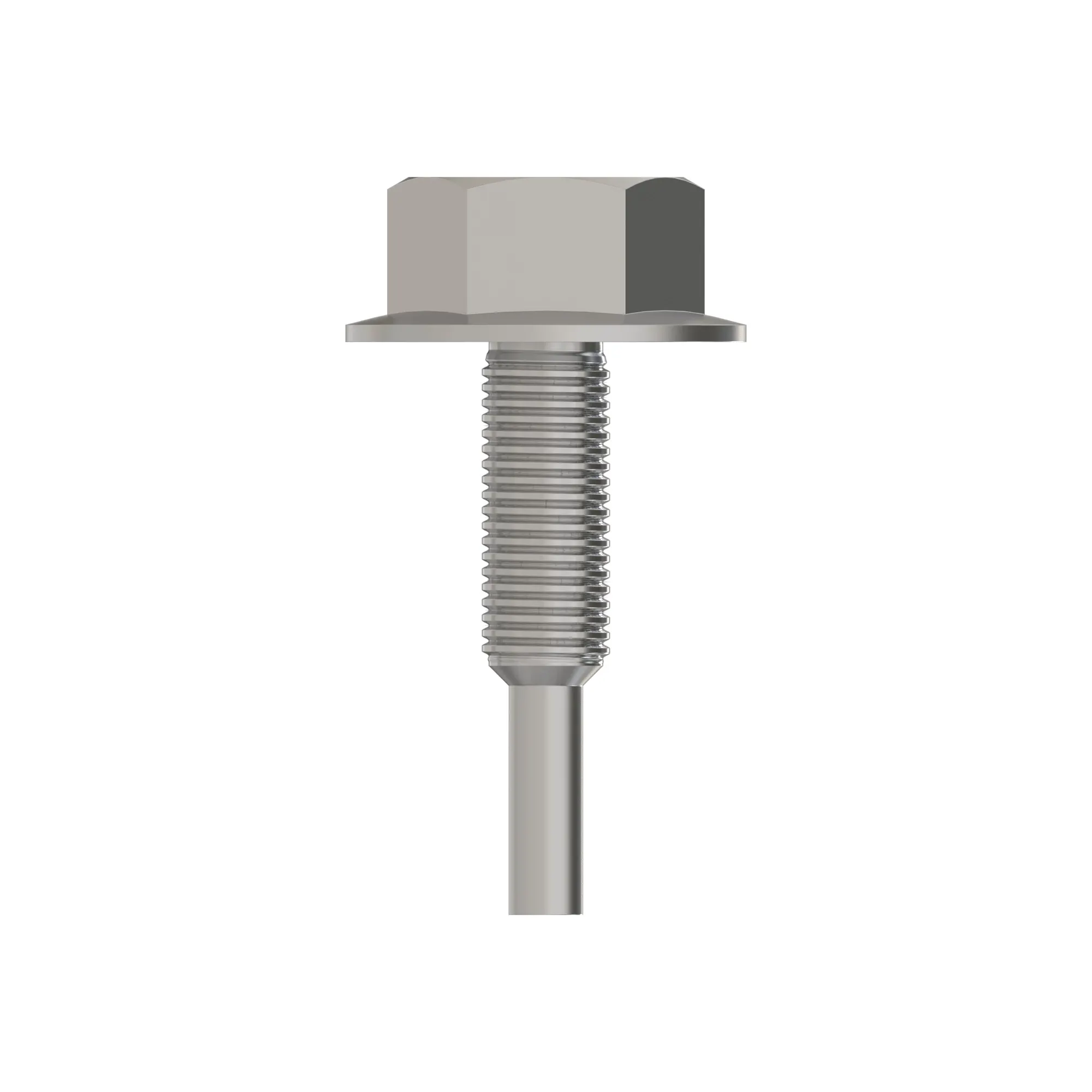 SCREW, SPECIAL