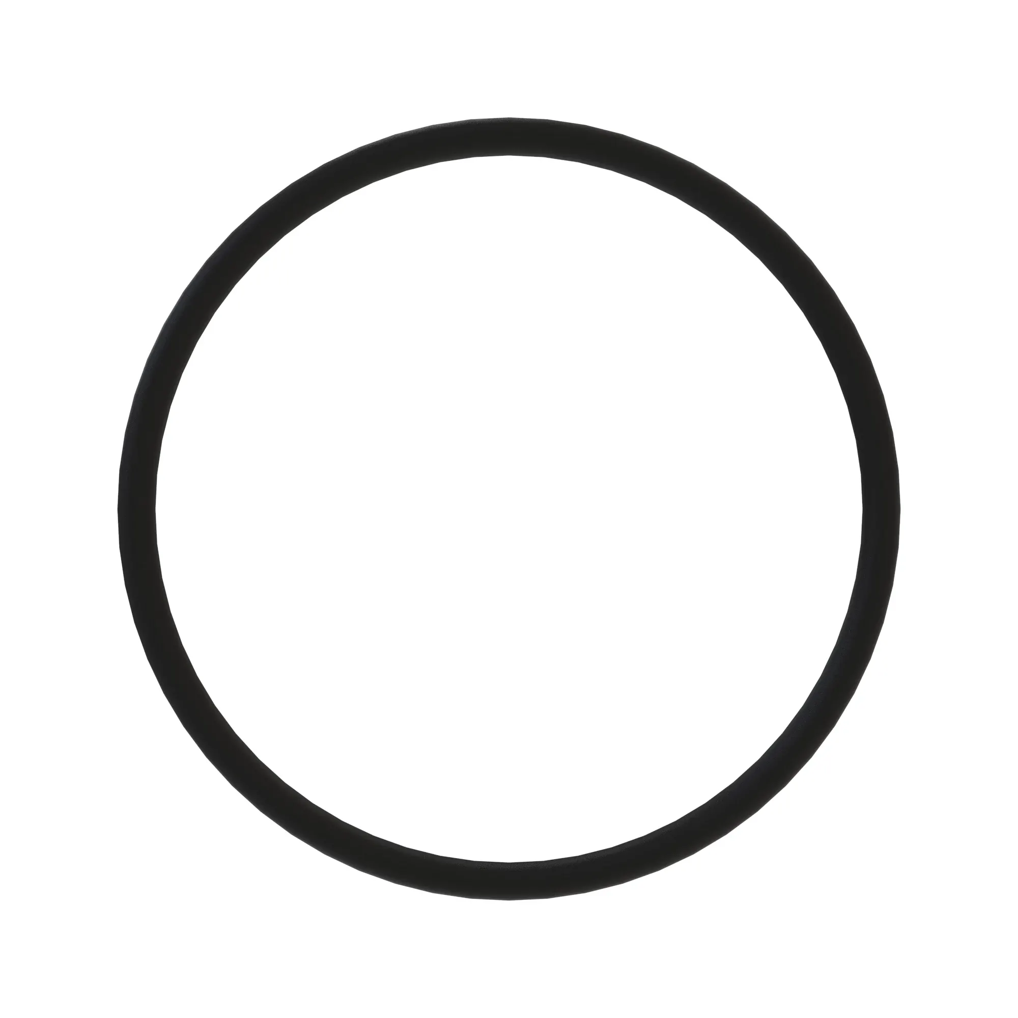 o-ring