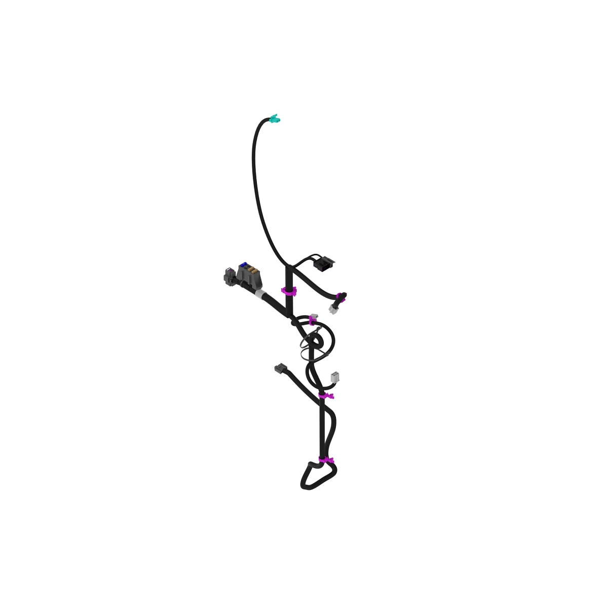 Harness, Main Cp-L