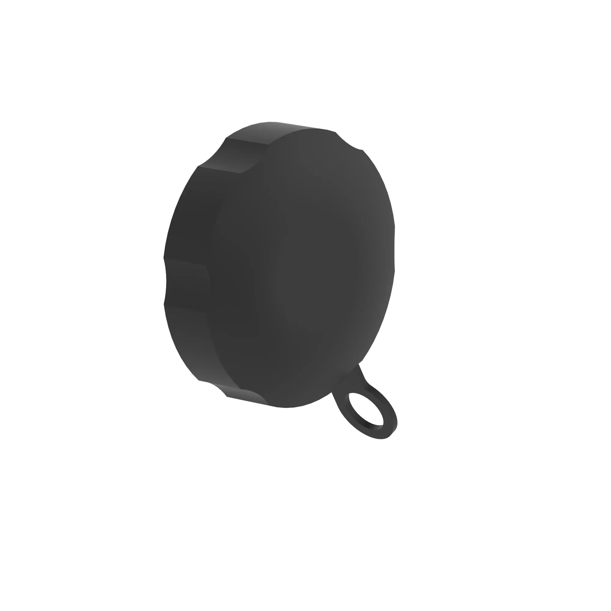 CAP, FUEL (FUEL)