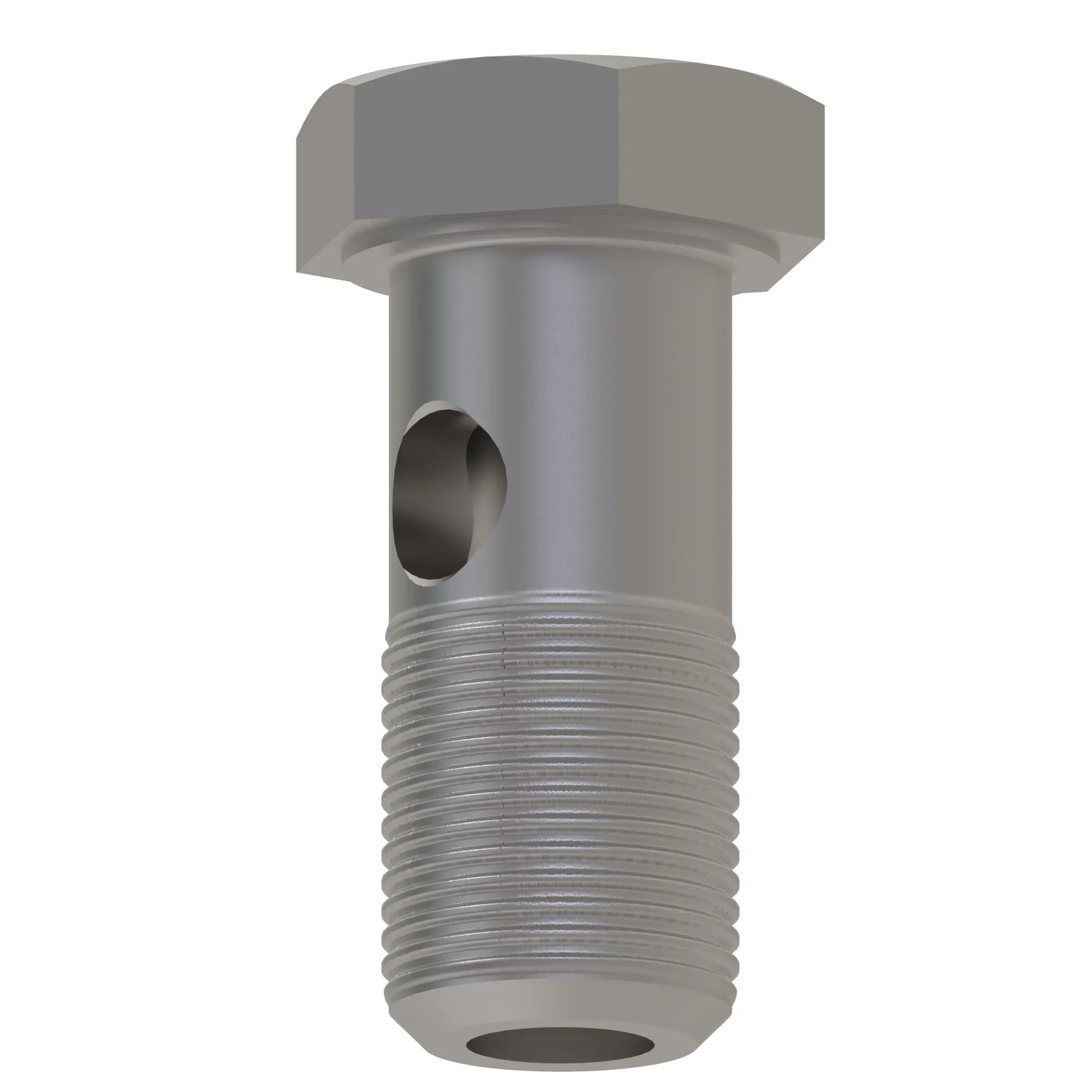 Hollow Screw