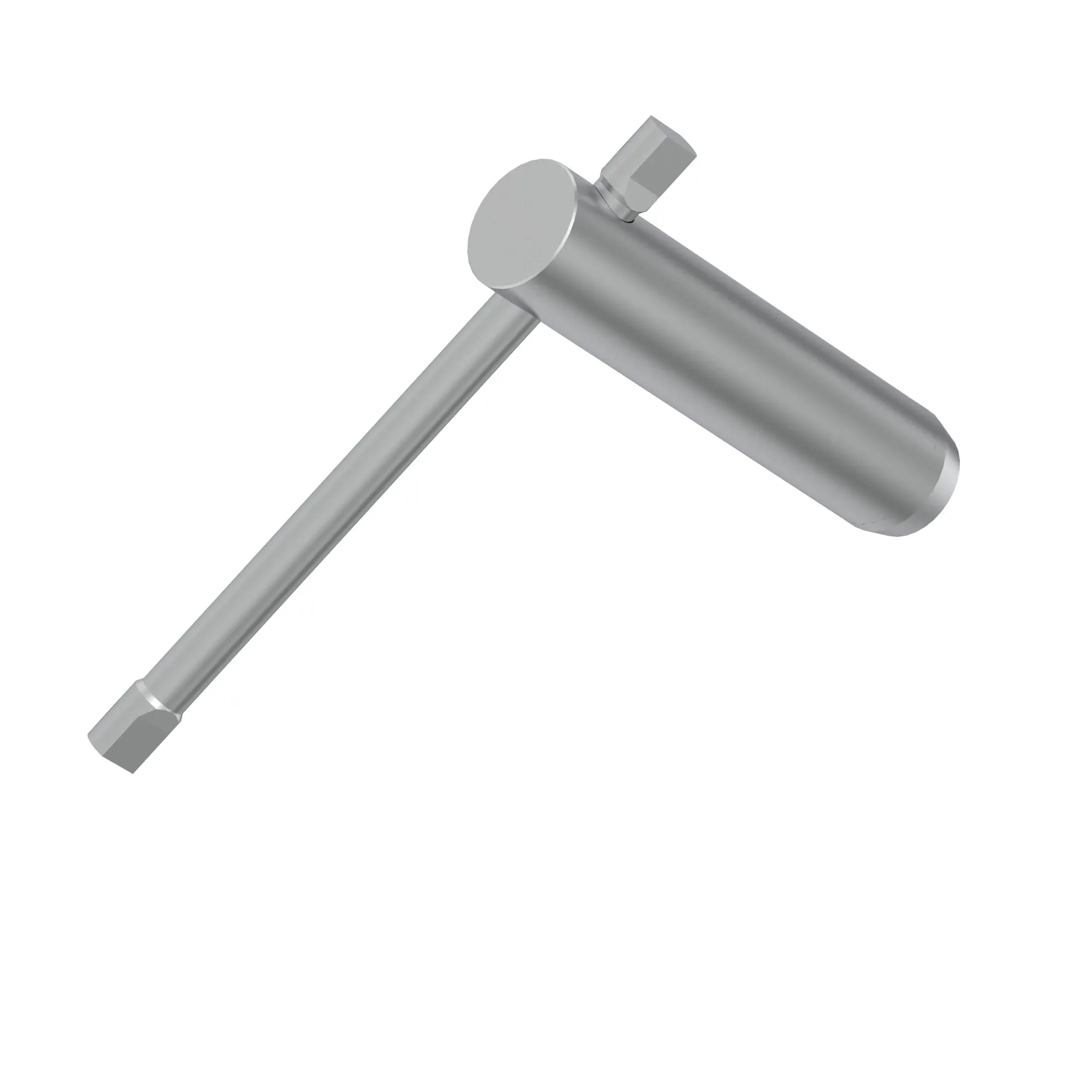Pin
