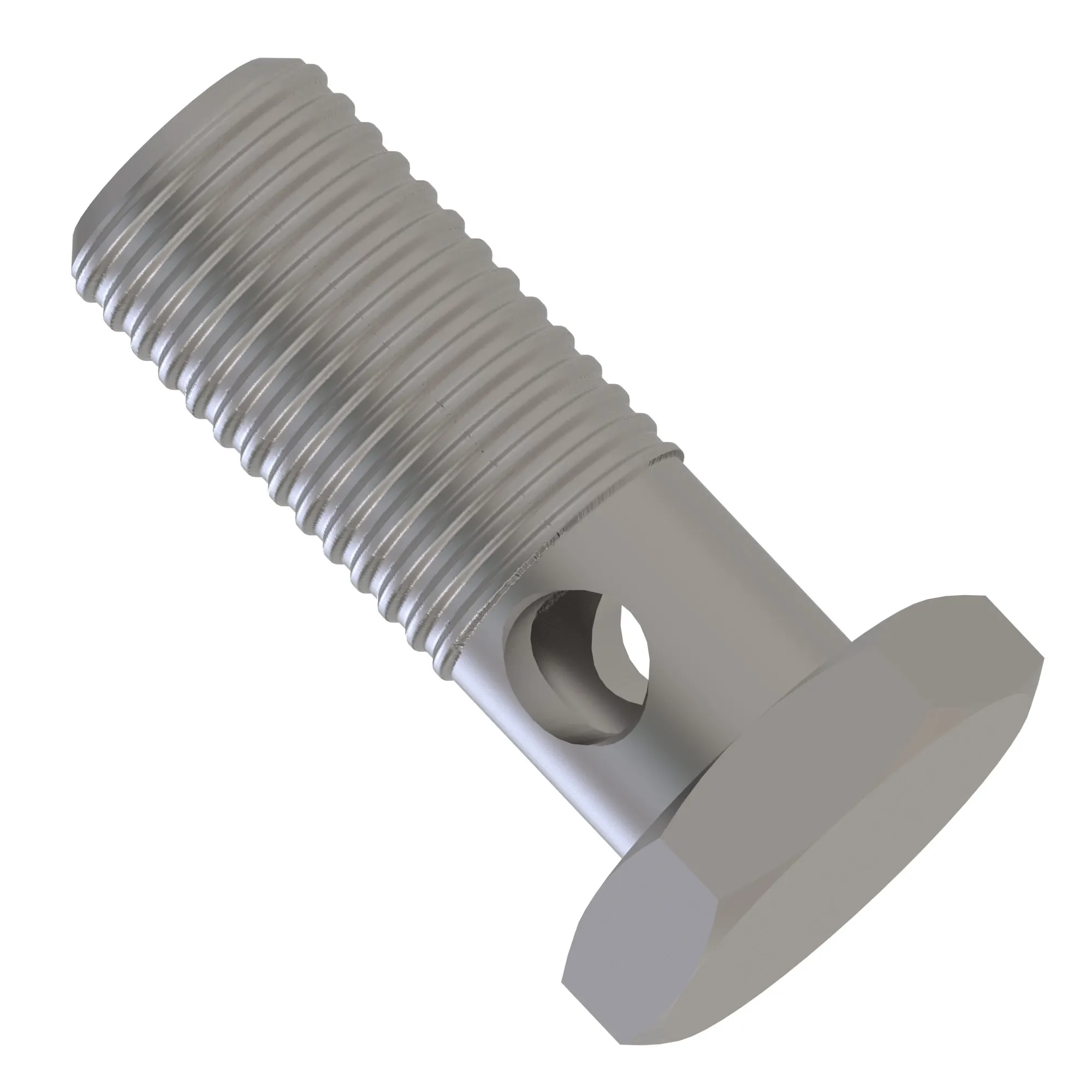 Hollow Screw