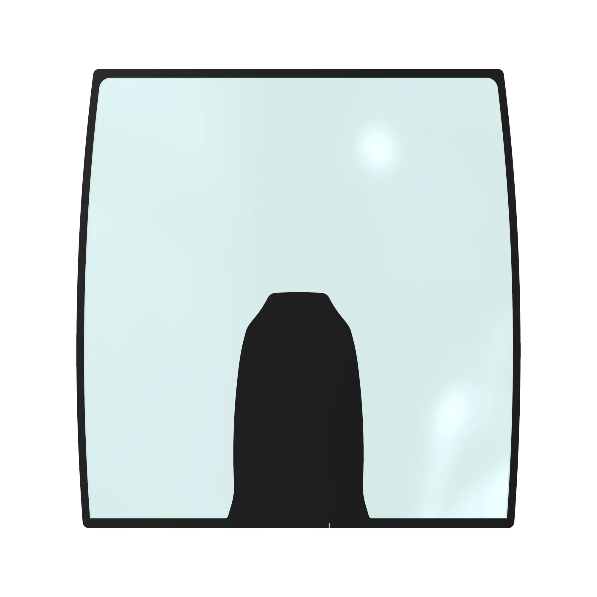 Windshield