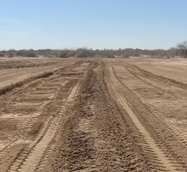 Wide view of an open dirt field with parallel tire tracks running across freshly graded soil under a clear blue sky