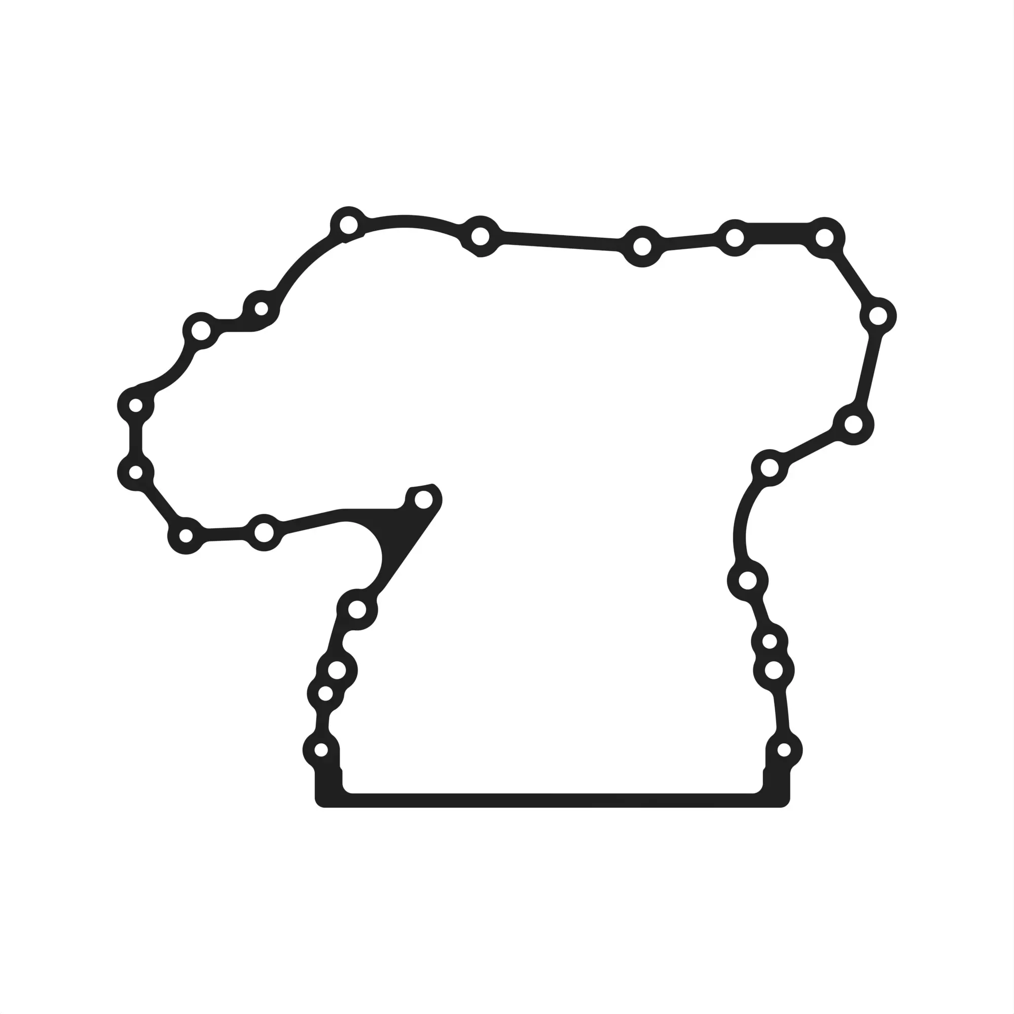 gasket