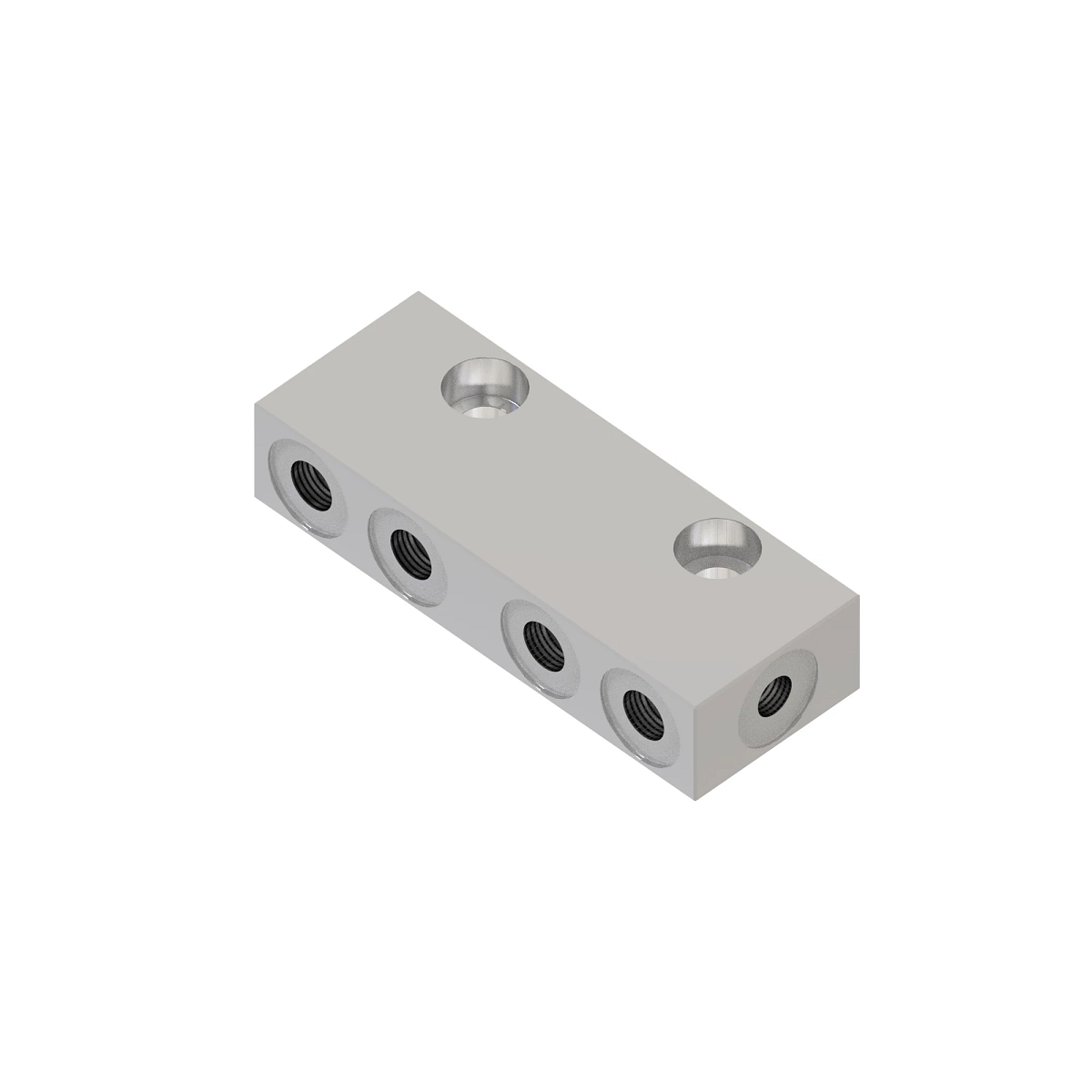 Manifold Block