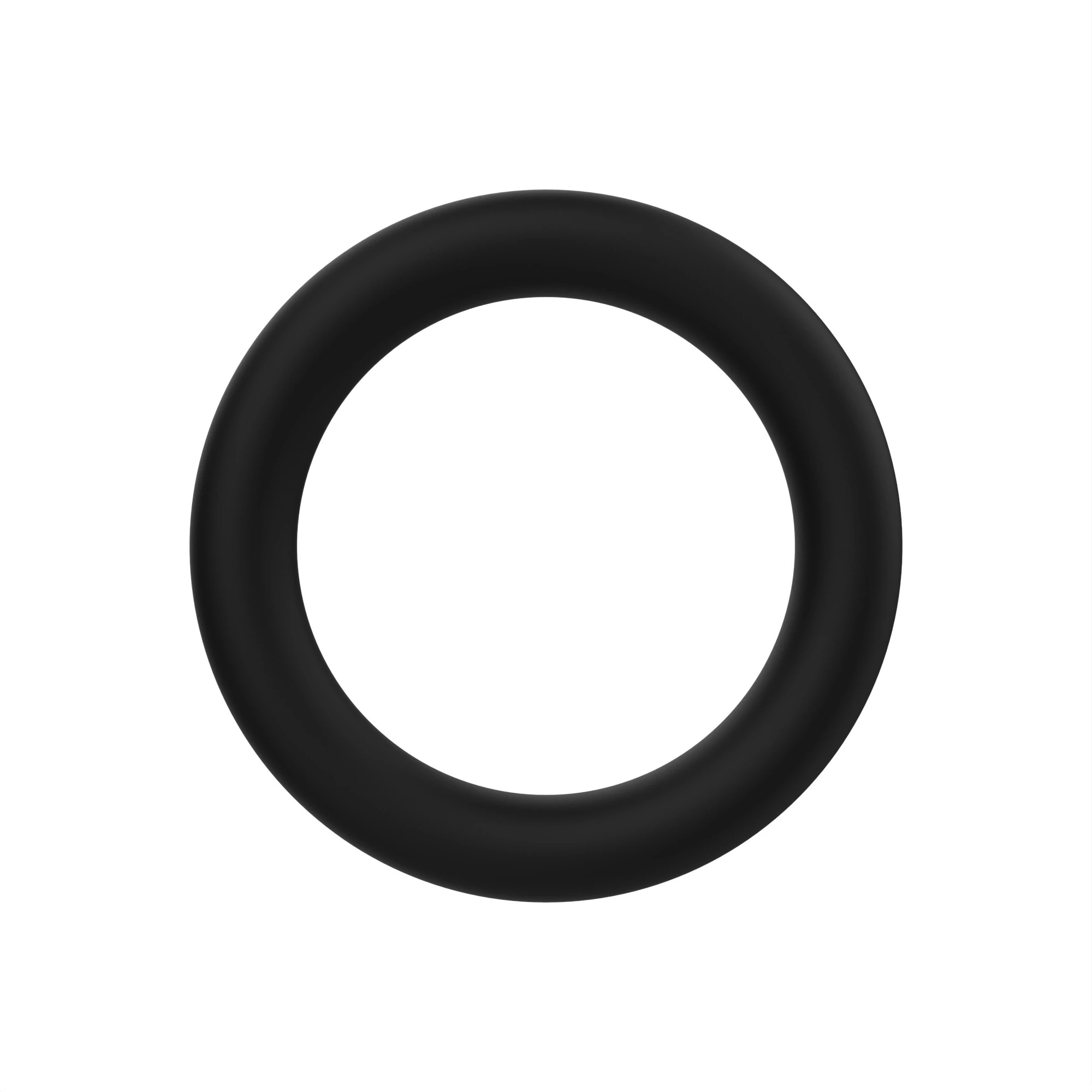 O-RING