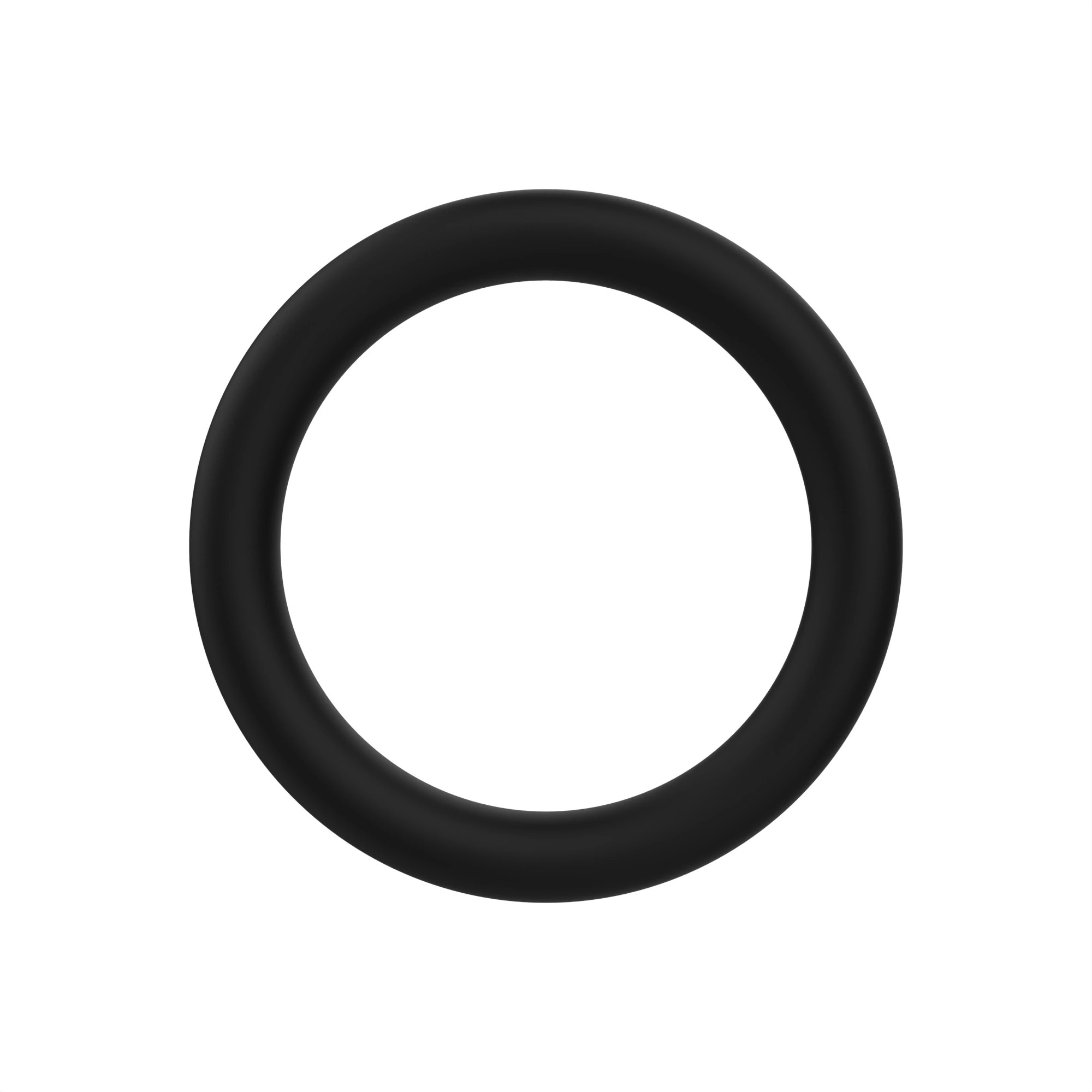 O-RING
