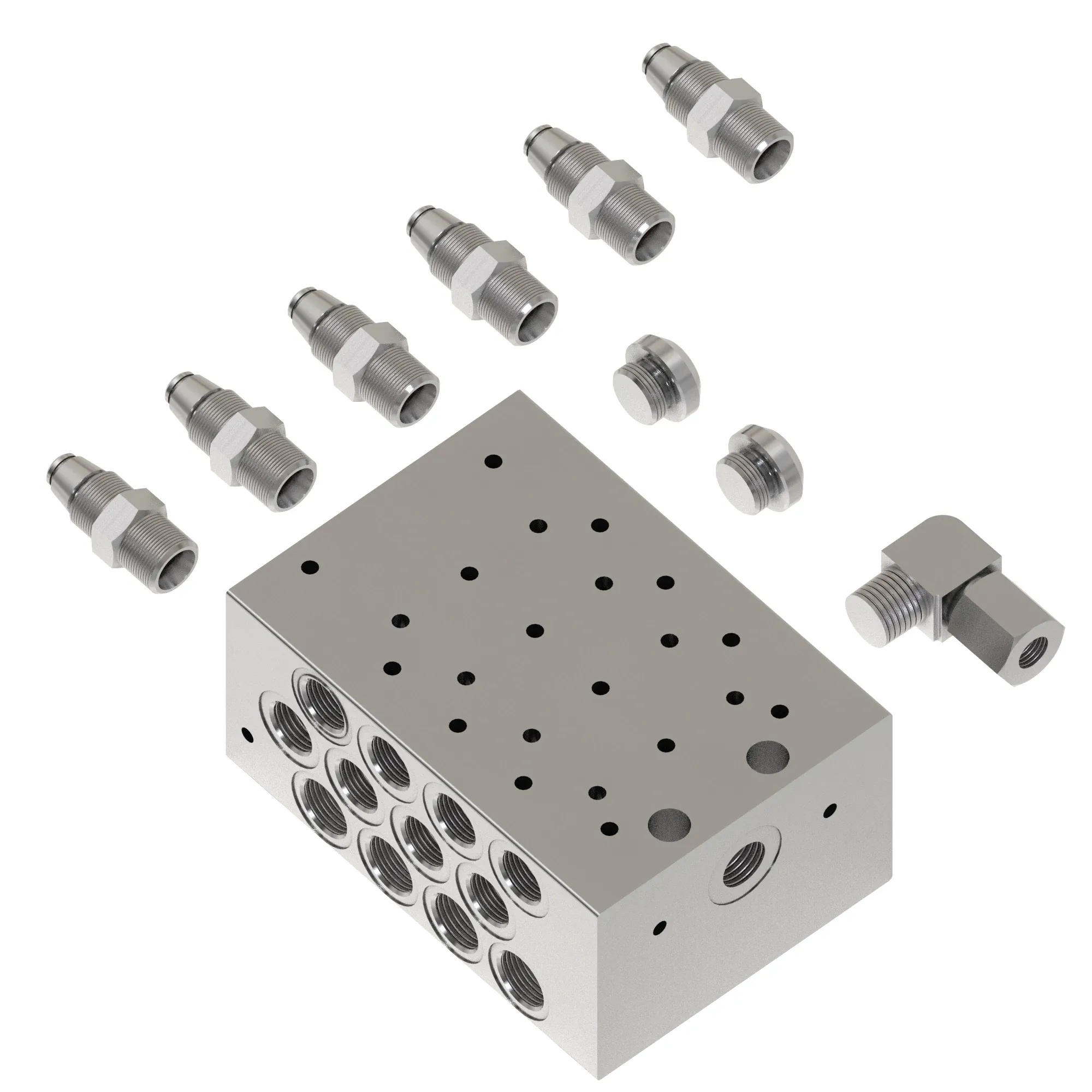 Manifold Kit