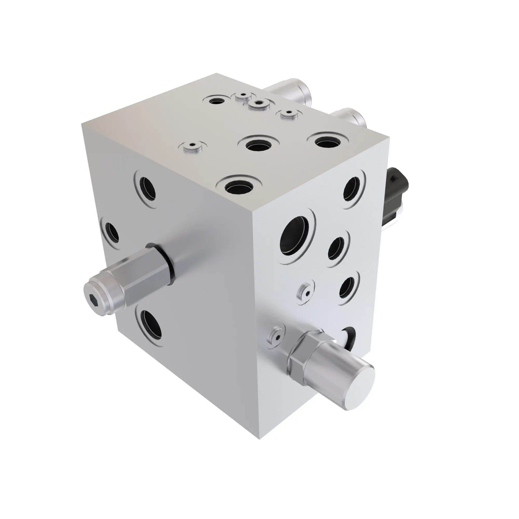 Manifold
