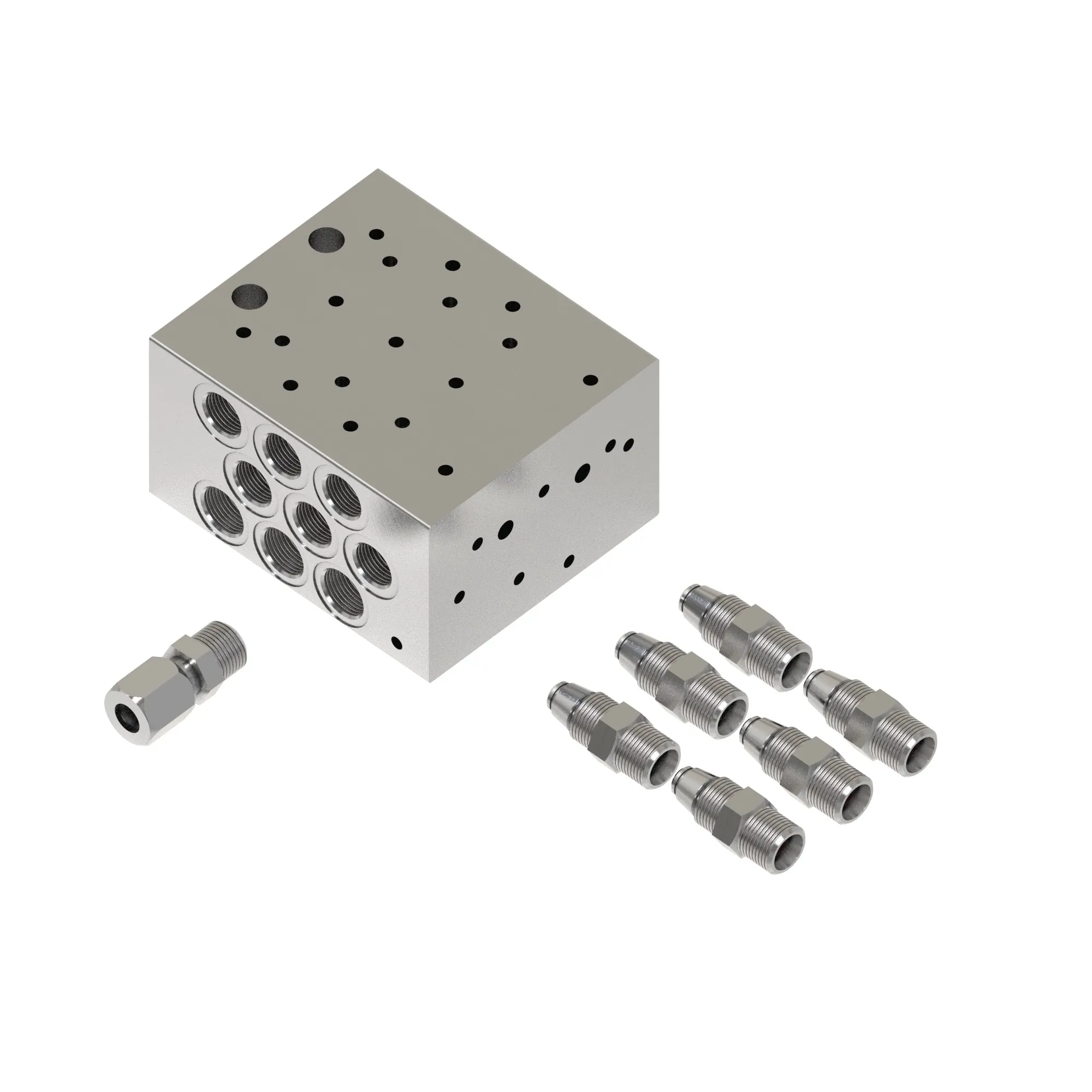 Manifold Kit