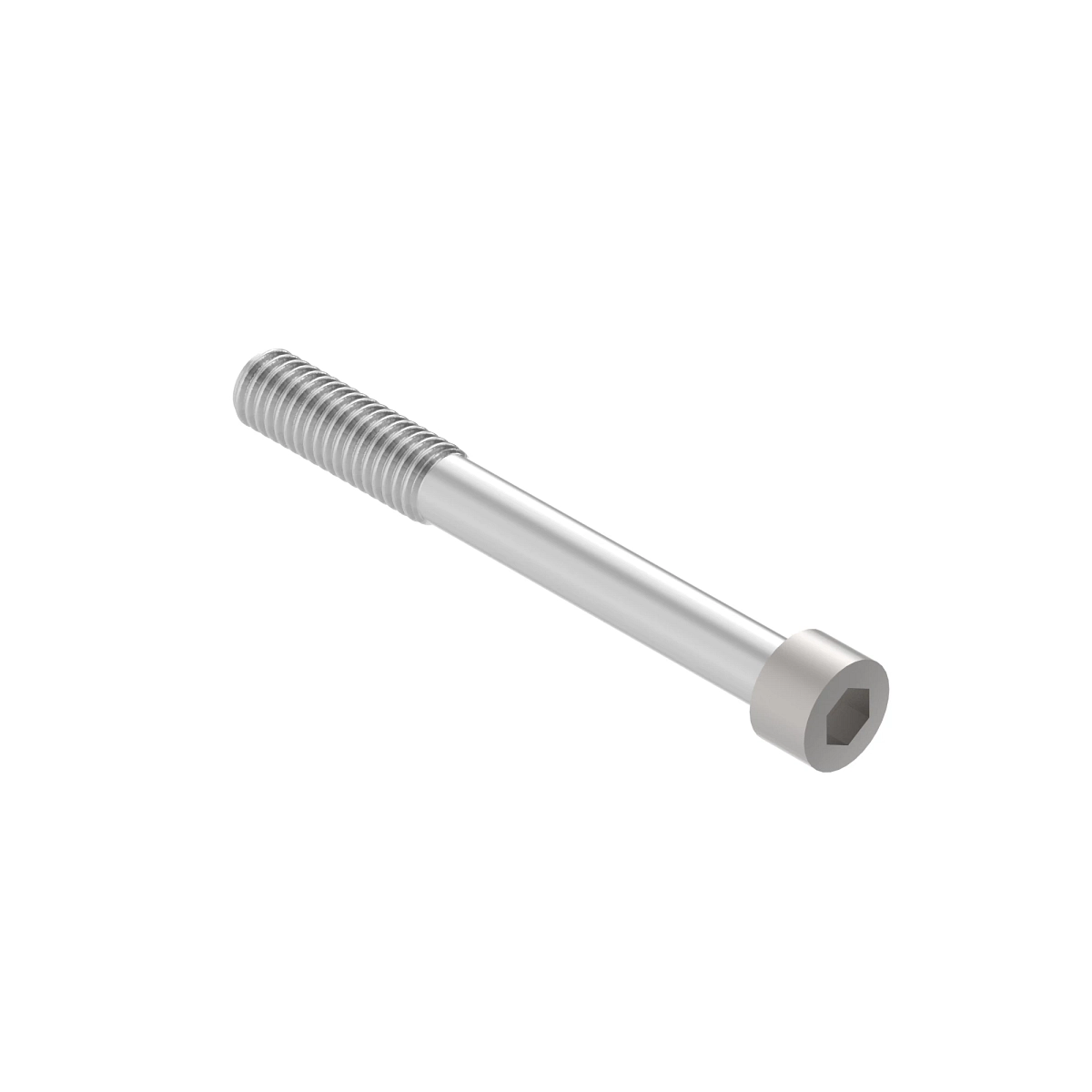 Screw, Hex Socket Head, Metric