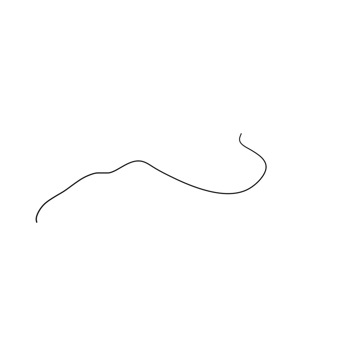 R564968: Ether Injection Hose