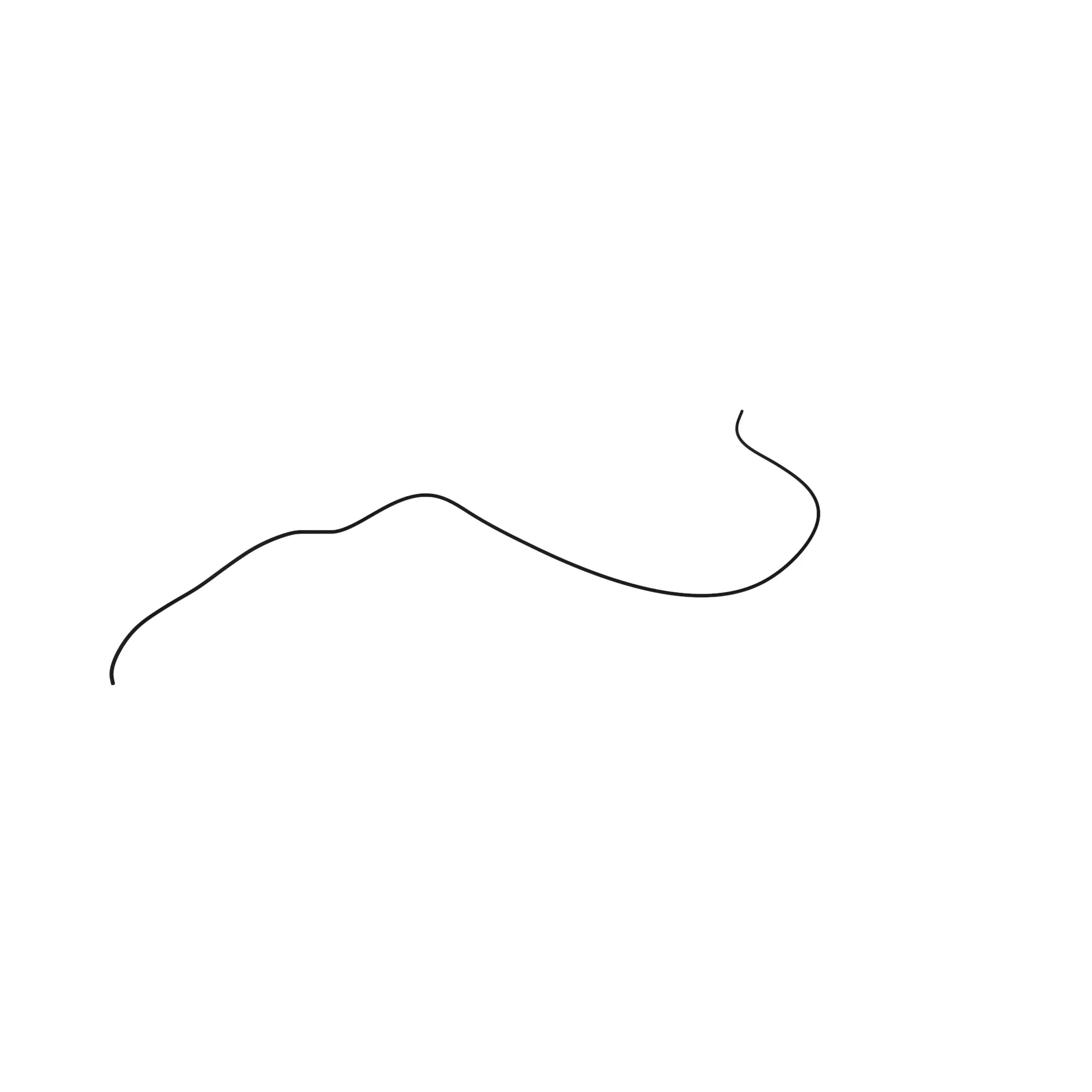 R564968: Ether Injection Hose