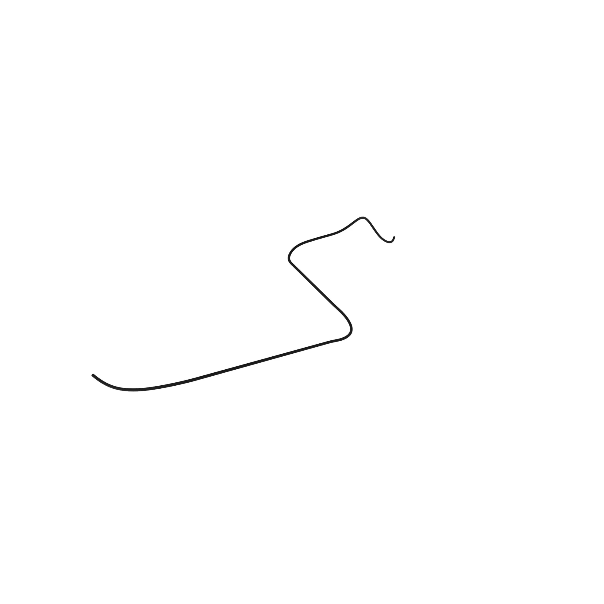 R550436: Ether Injection Hose