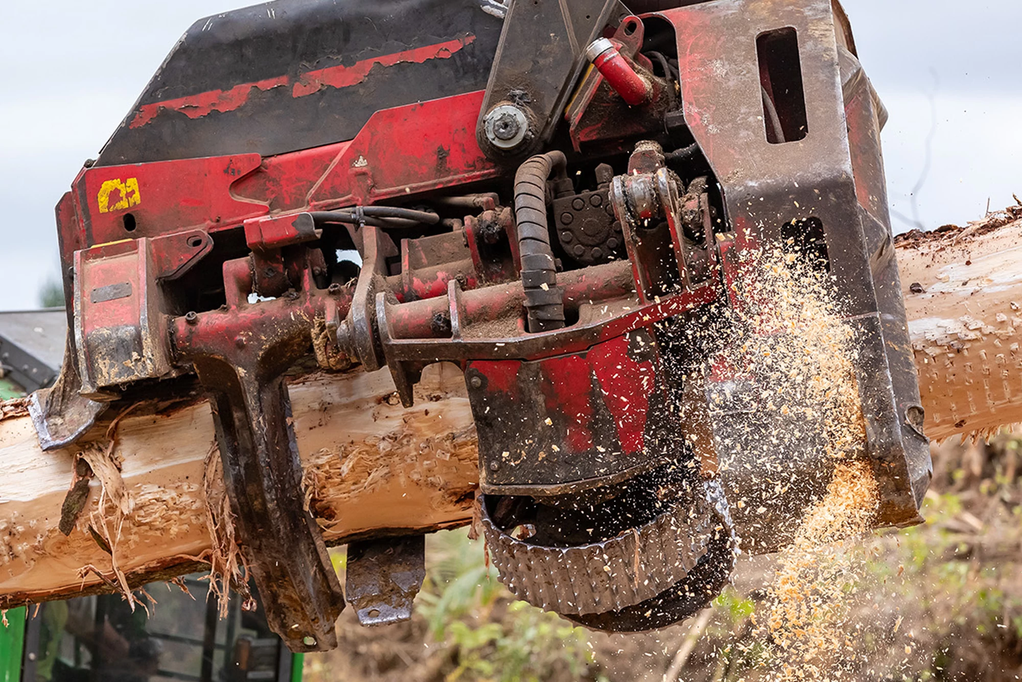 Closeup of forestry harvester head at work