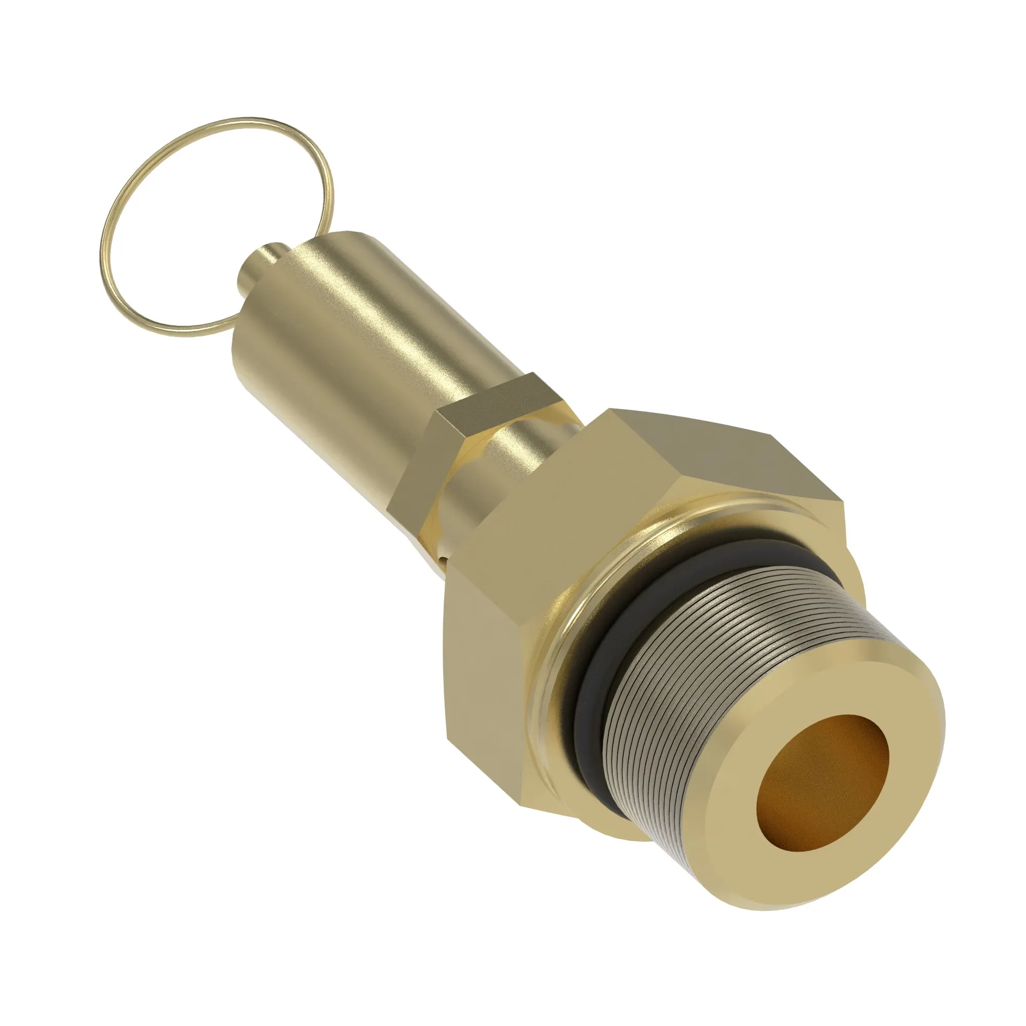 Pressure Relief Valve