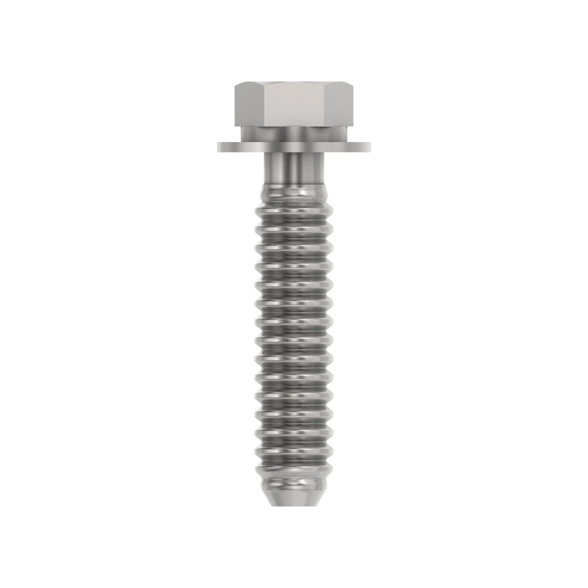Screw With Washer
