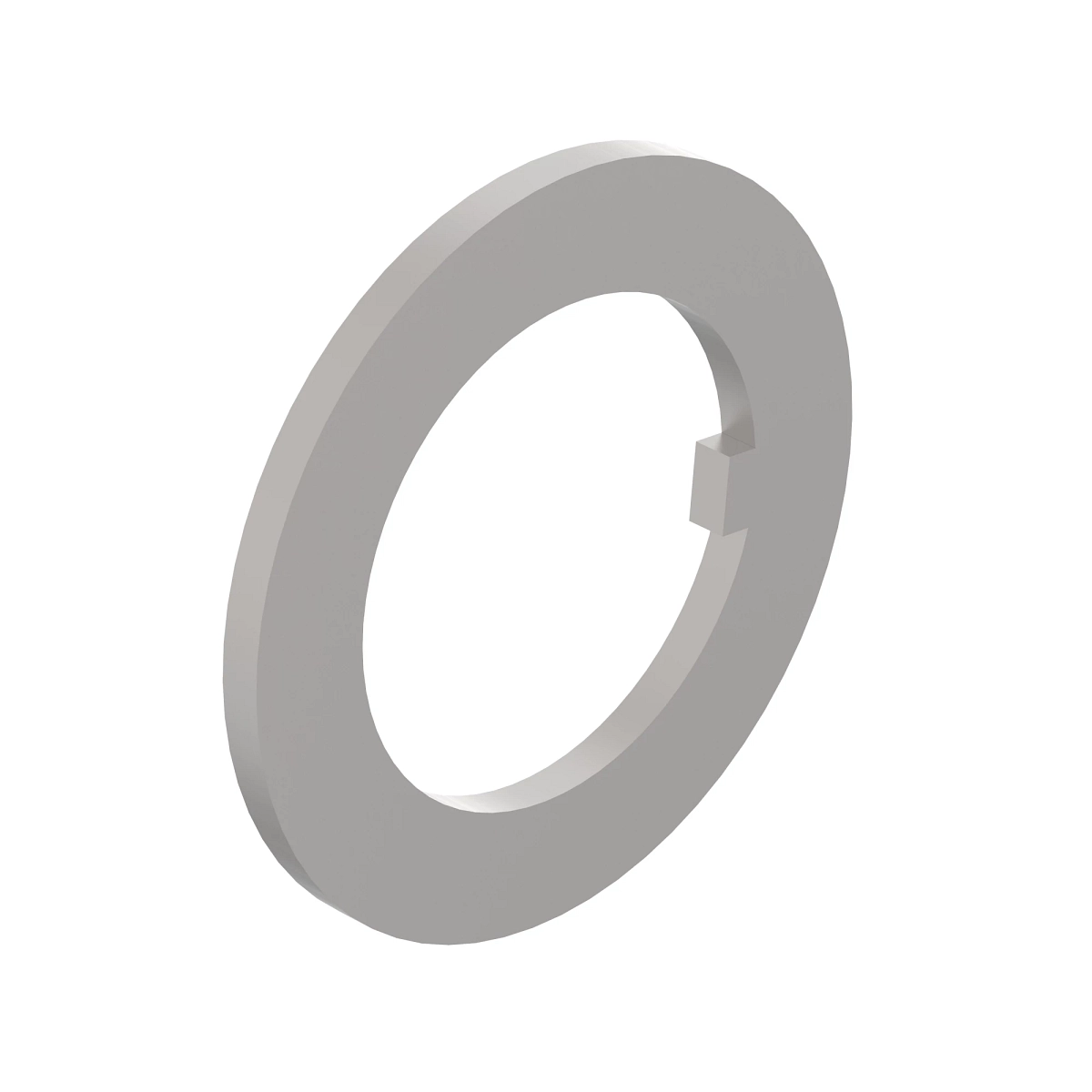 Washer, Bearing Internal Tab
