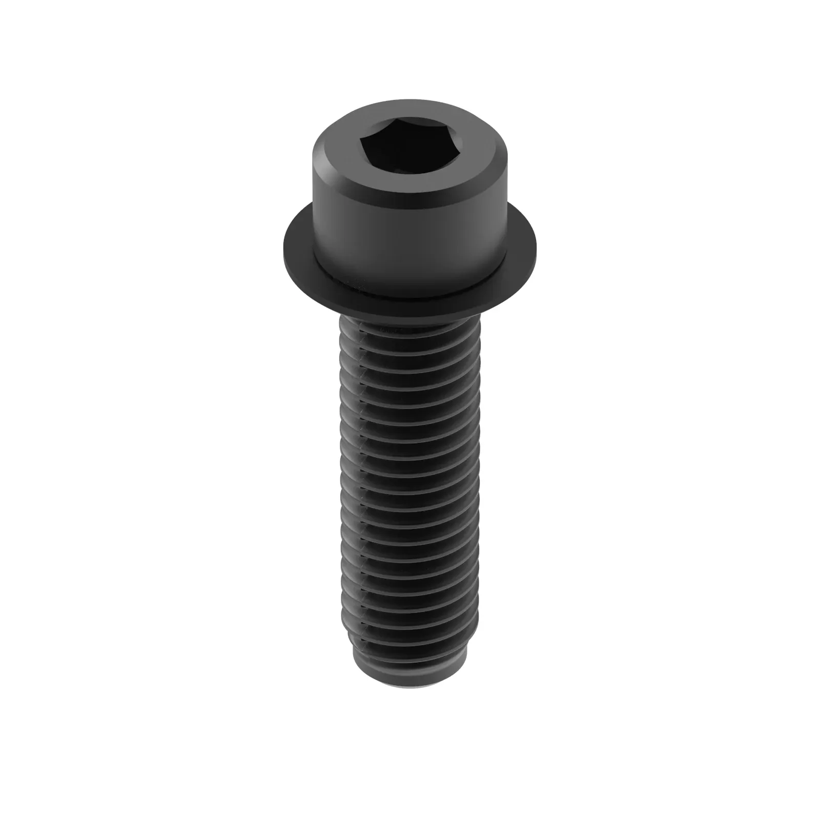 Screw With Washer