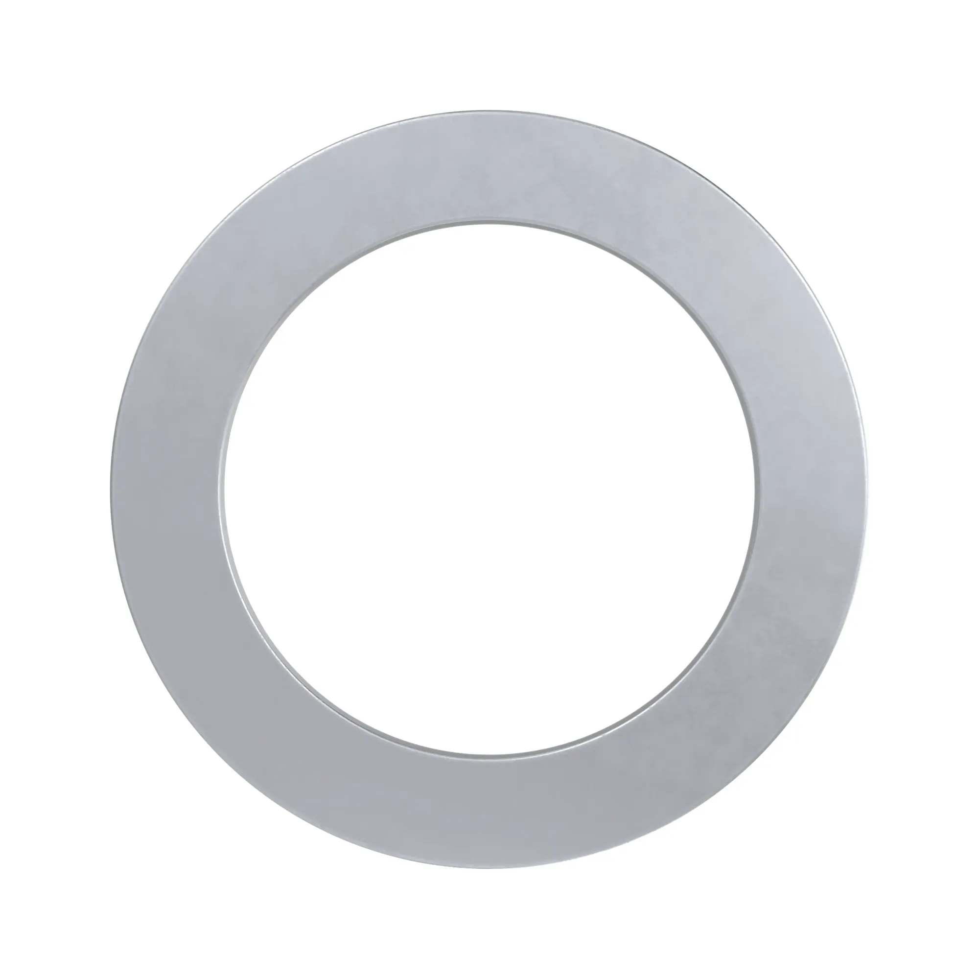 R174282: Thrust Washer