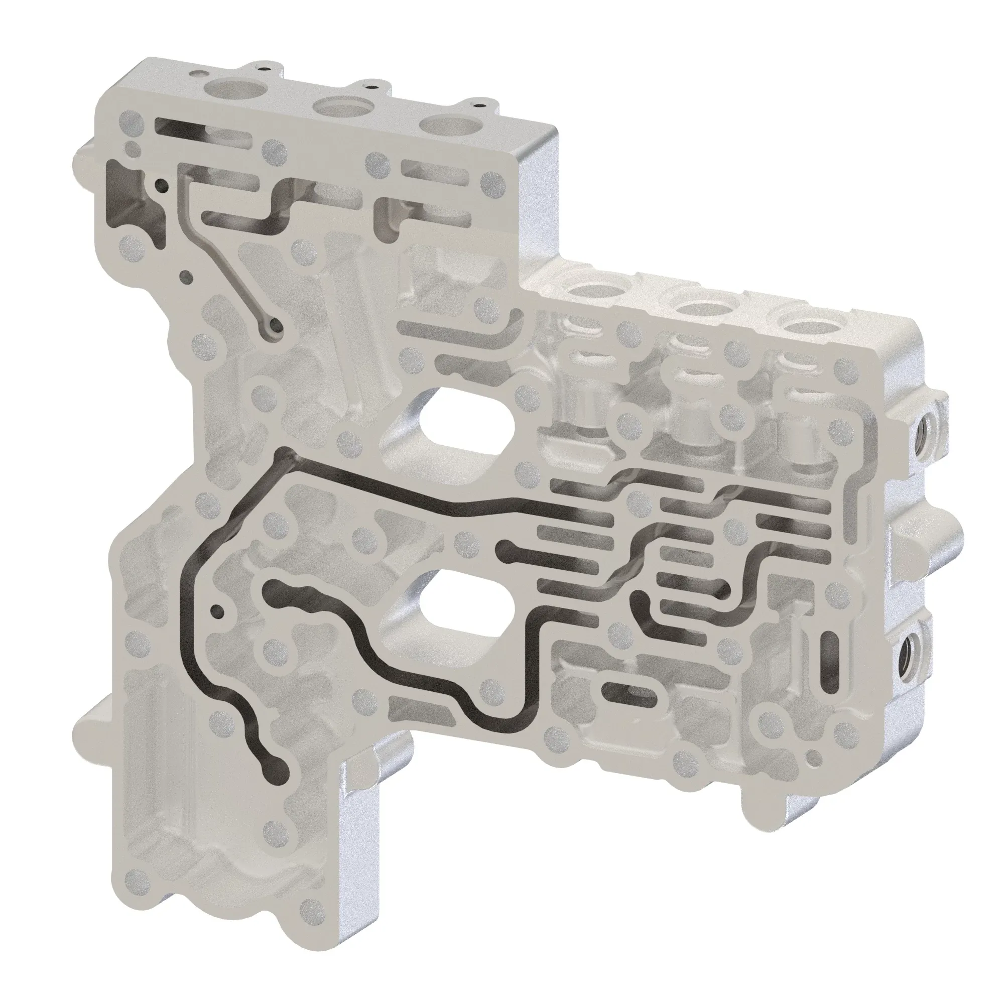 Manifold