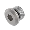 PLUG, WITH O-RING