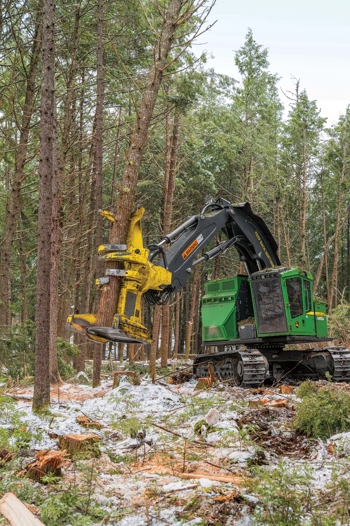 John Deere tracked forestry machine uses a harvesting head to grip and cut a tree in a lightly snow-covered forest, surrounded by tall pines, scattered brush, and freshly cut wood debris.