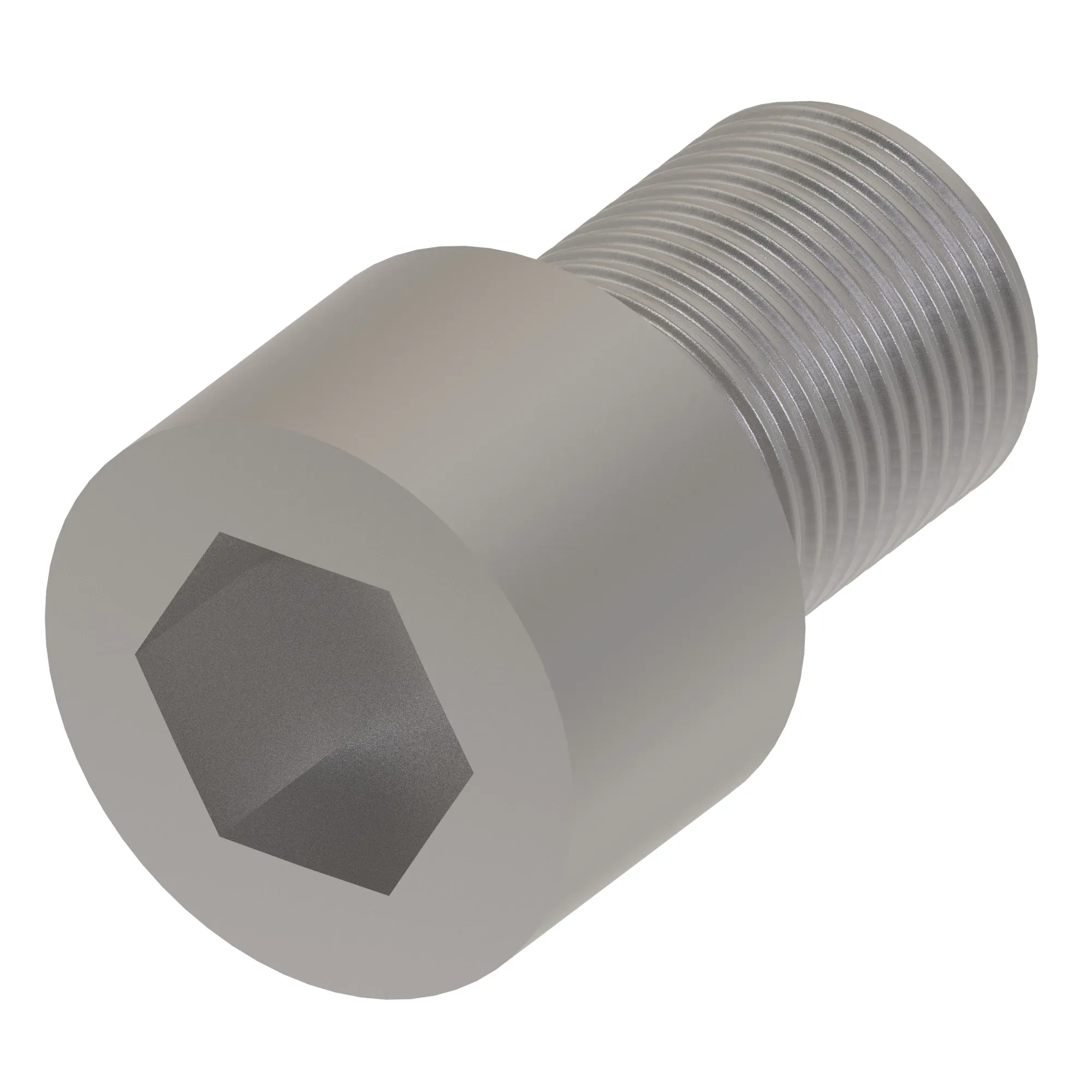 Socket Head Screw