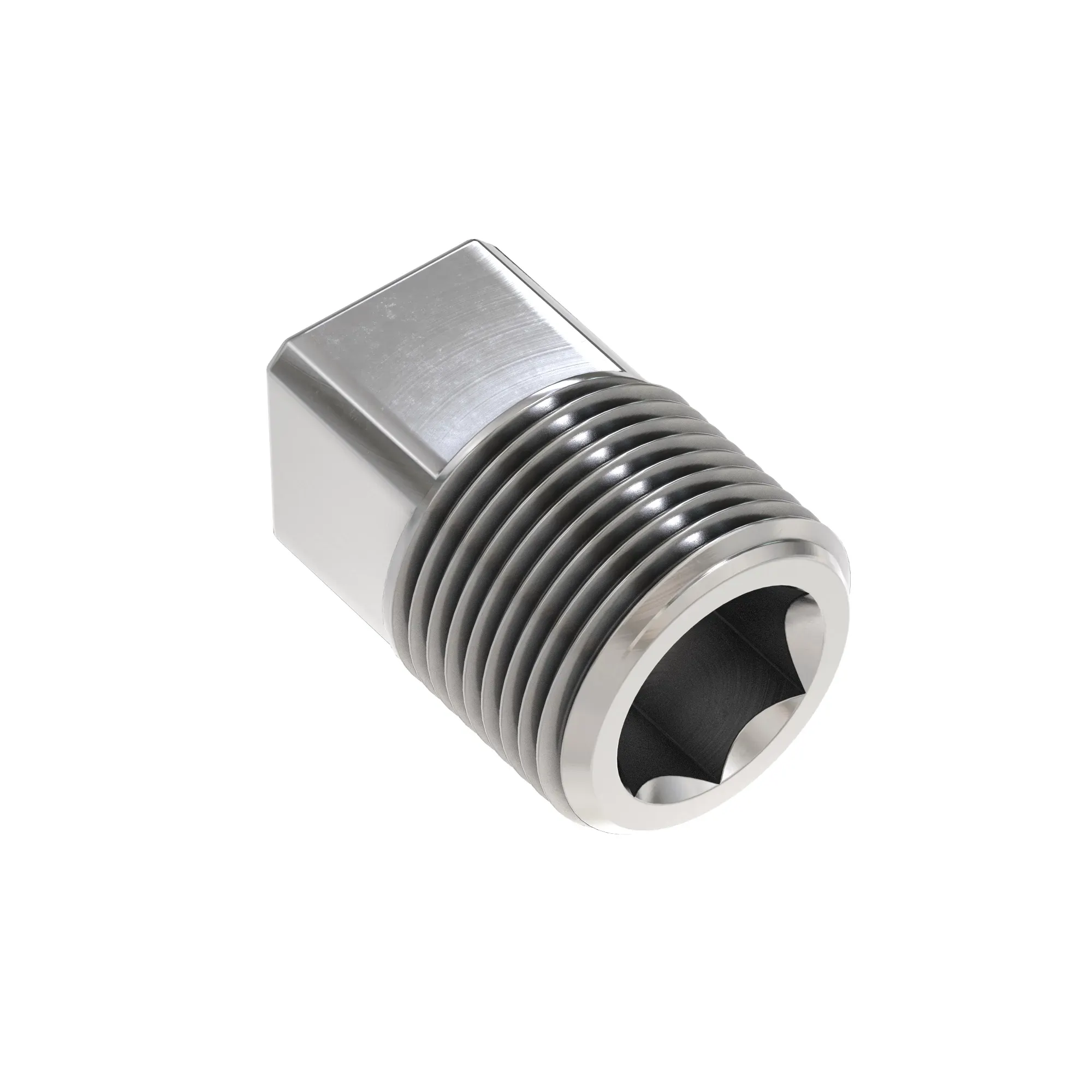 Fitting, Pipe Plug