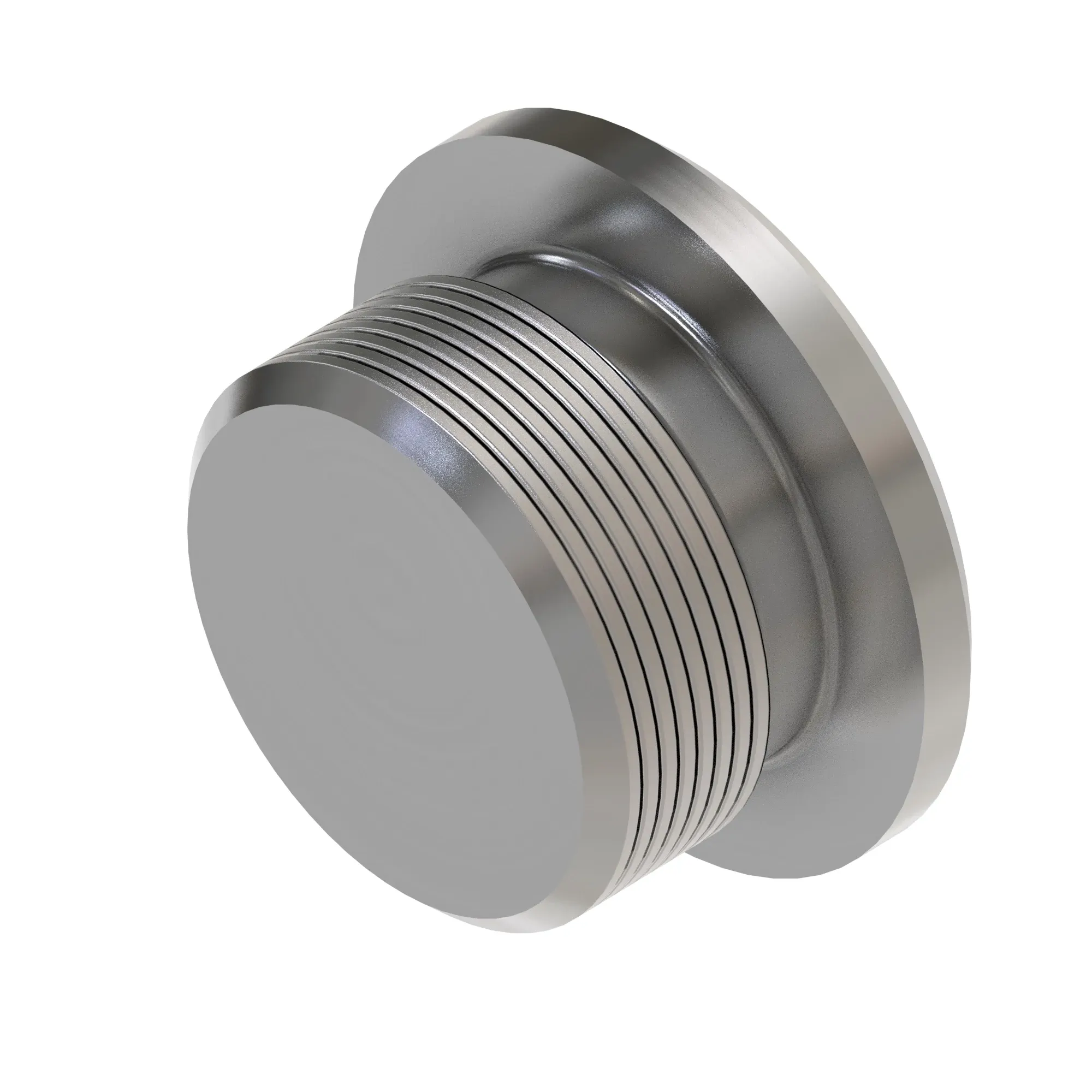 Fitting Plug