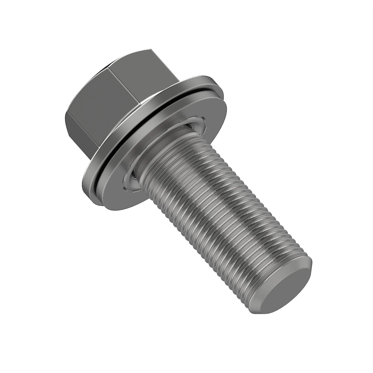 Screw With Washer