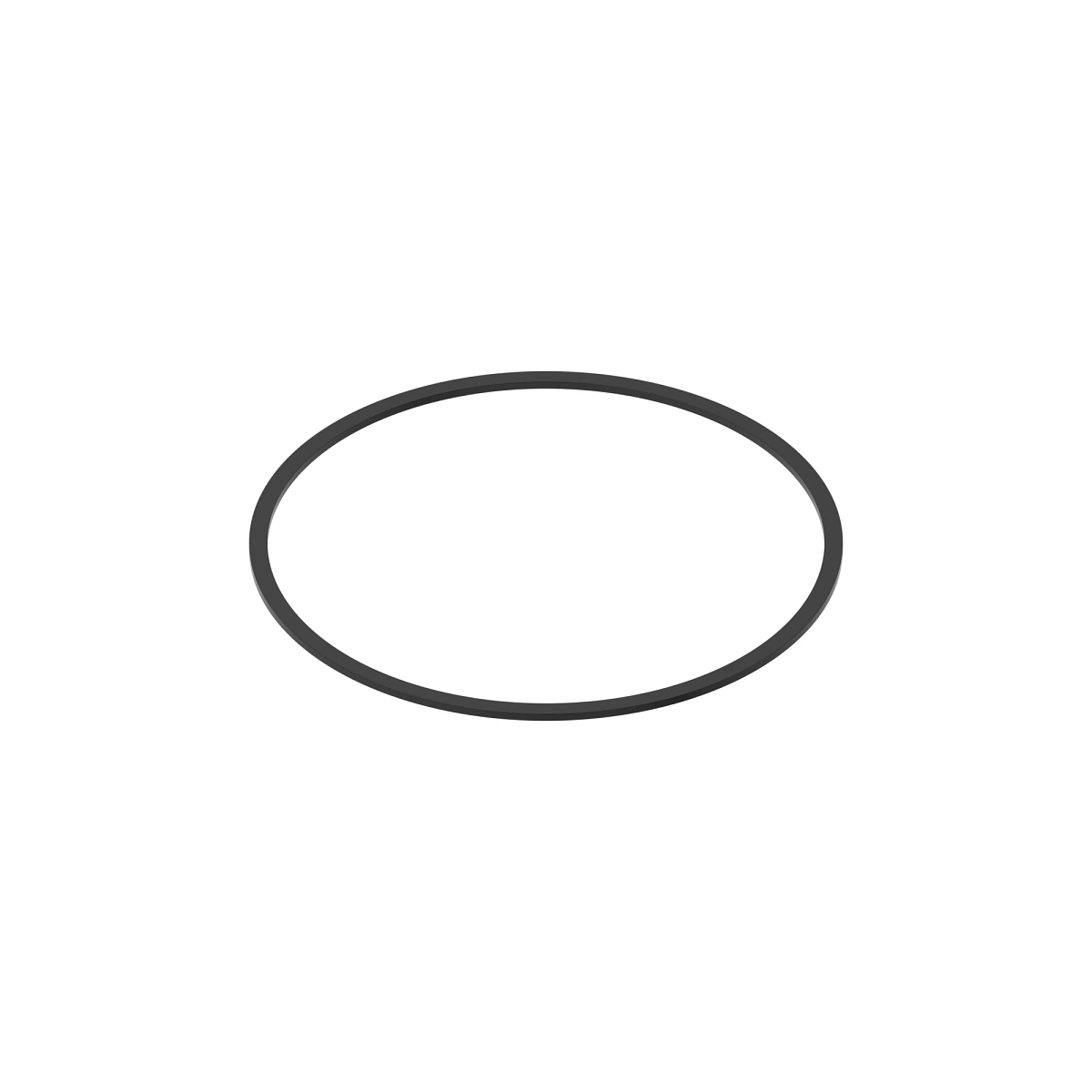 Seal, Service Brake Piston