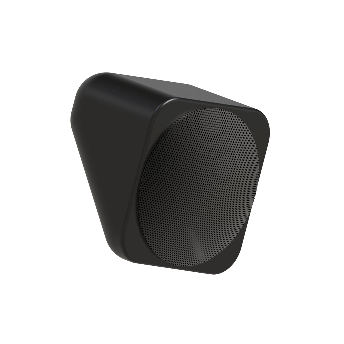 Speakers, Pair