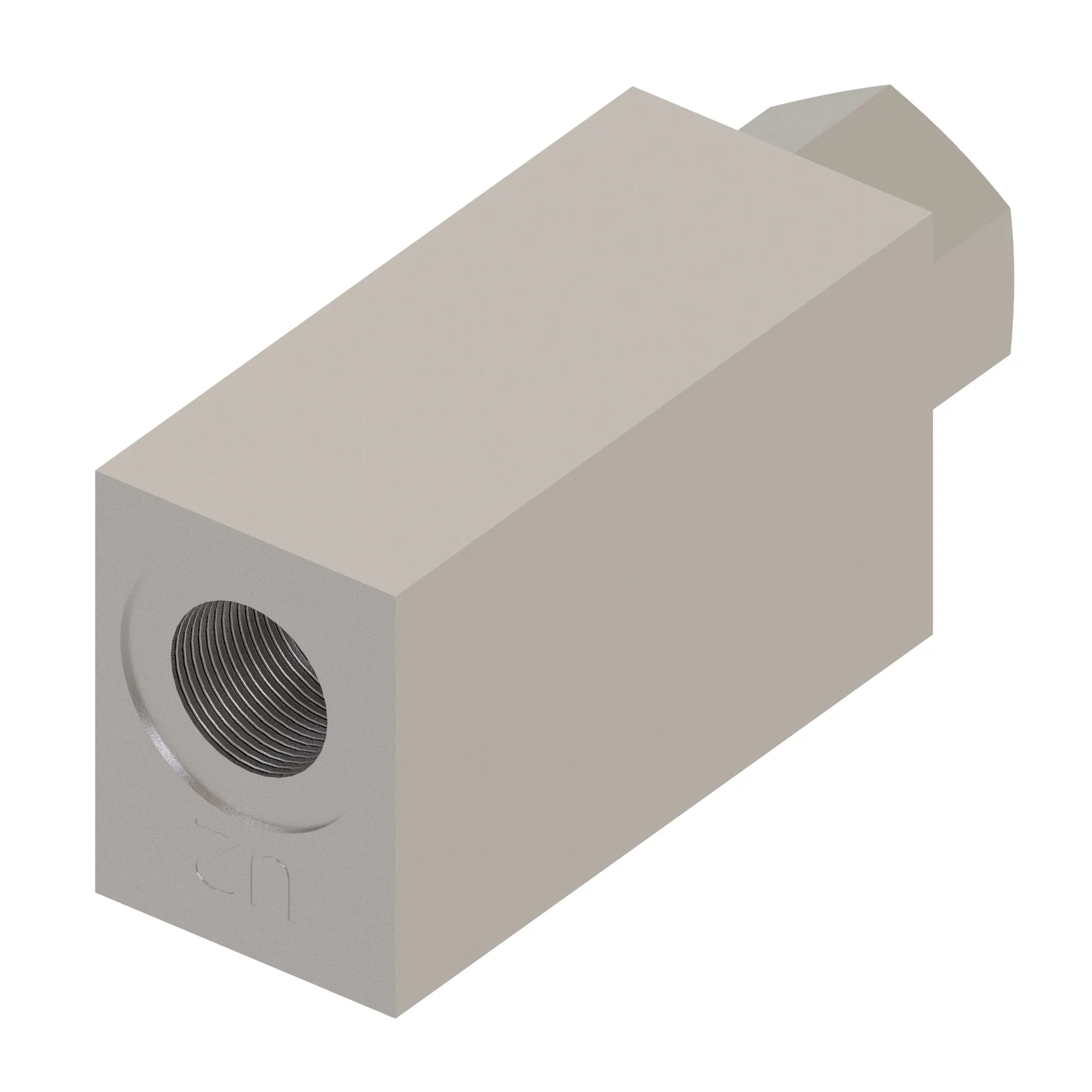 Check Valve