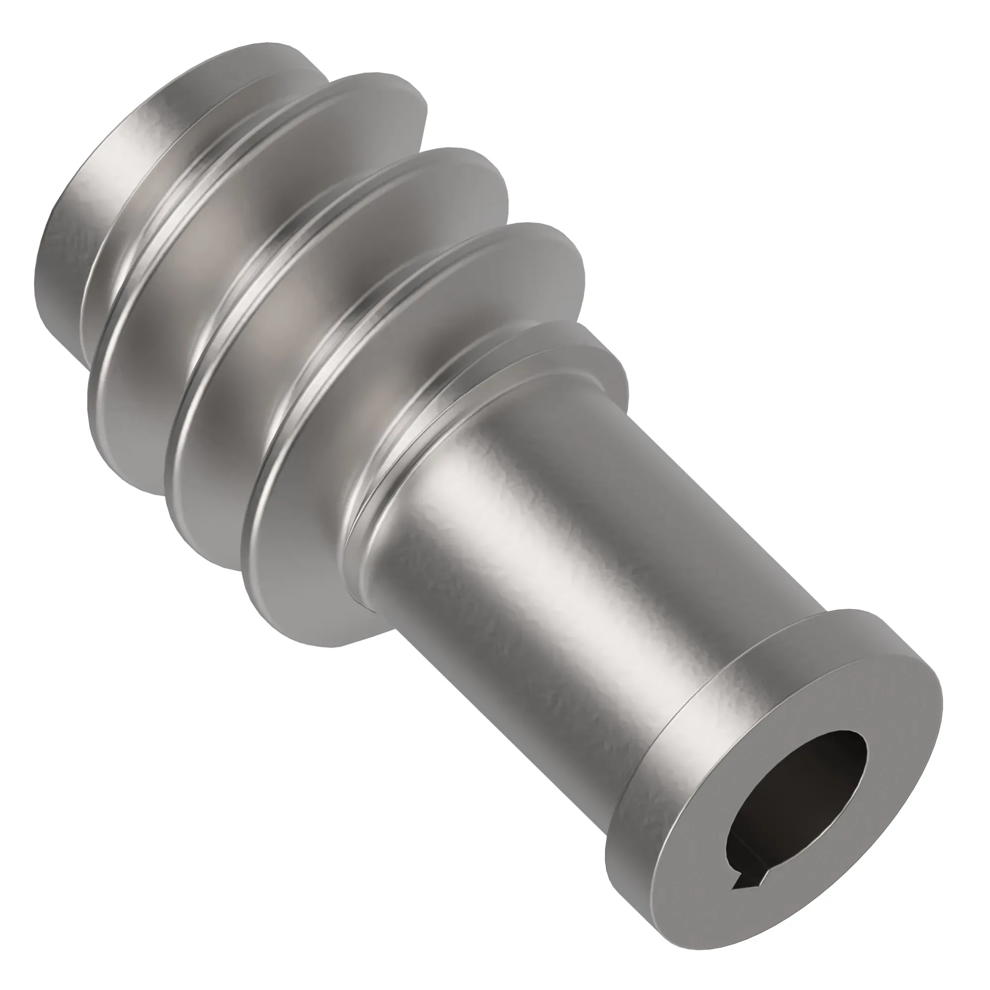 Worm Gear