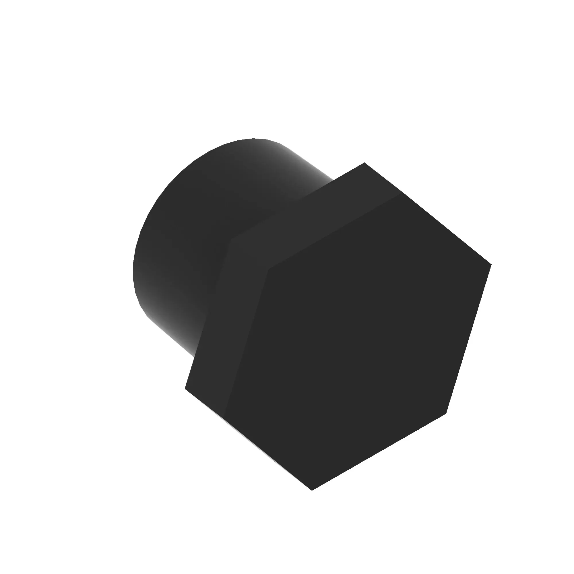 Pipe Plug