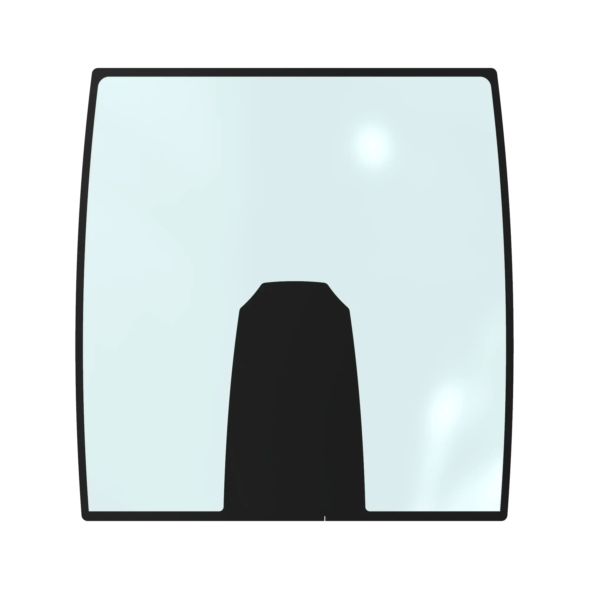 Windshield