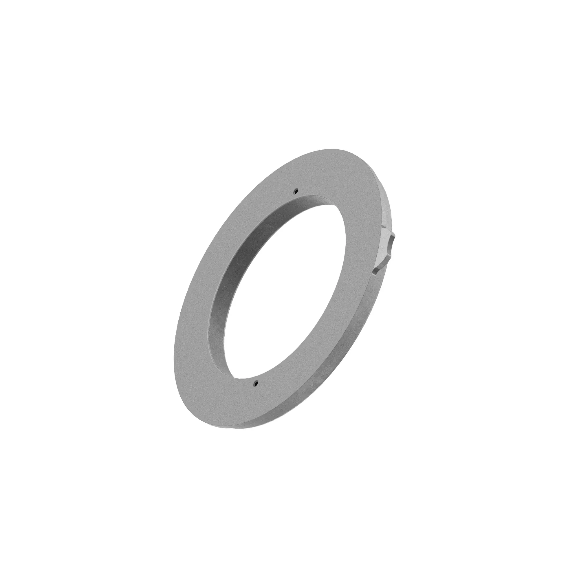 PISTON, REAR BRAKE (NA)