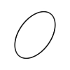 o-ring