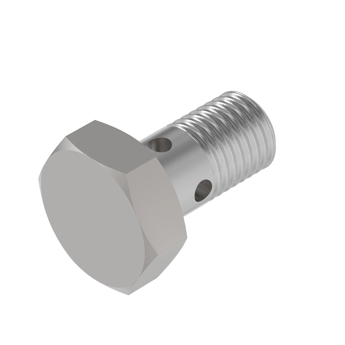 Hollow Screw, M10 Banjo, Metric