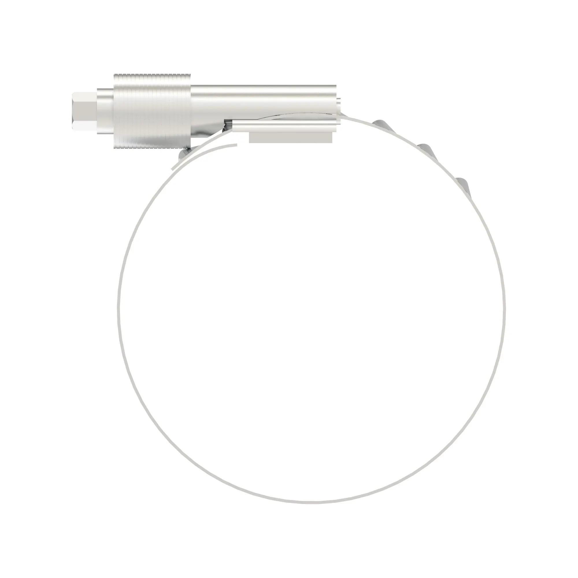 Hose Clamp