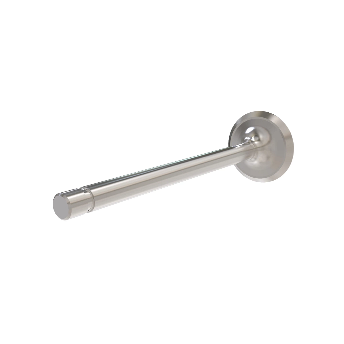 Exhaust Valve