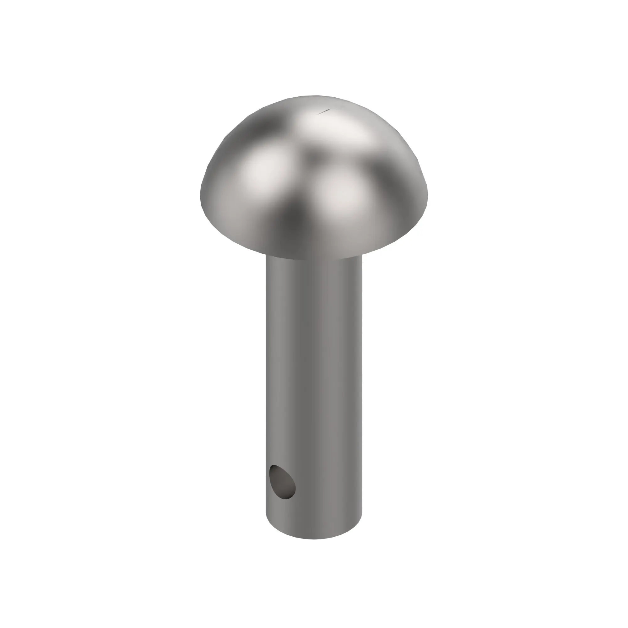 RIVET