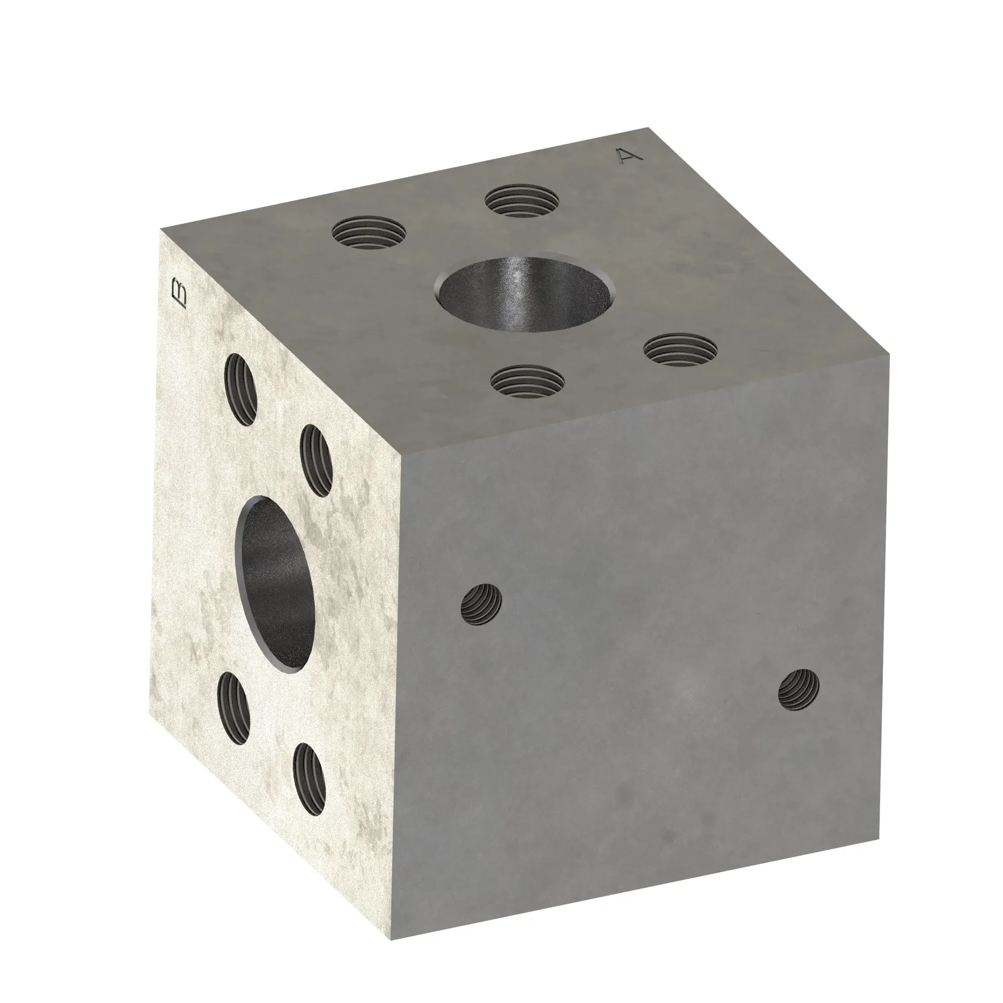 Manifold