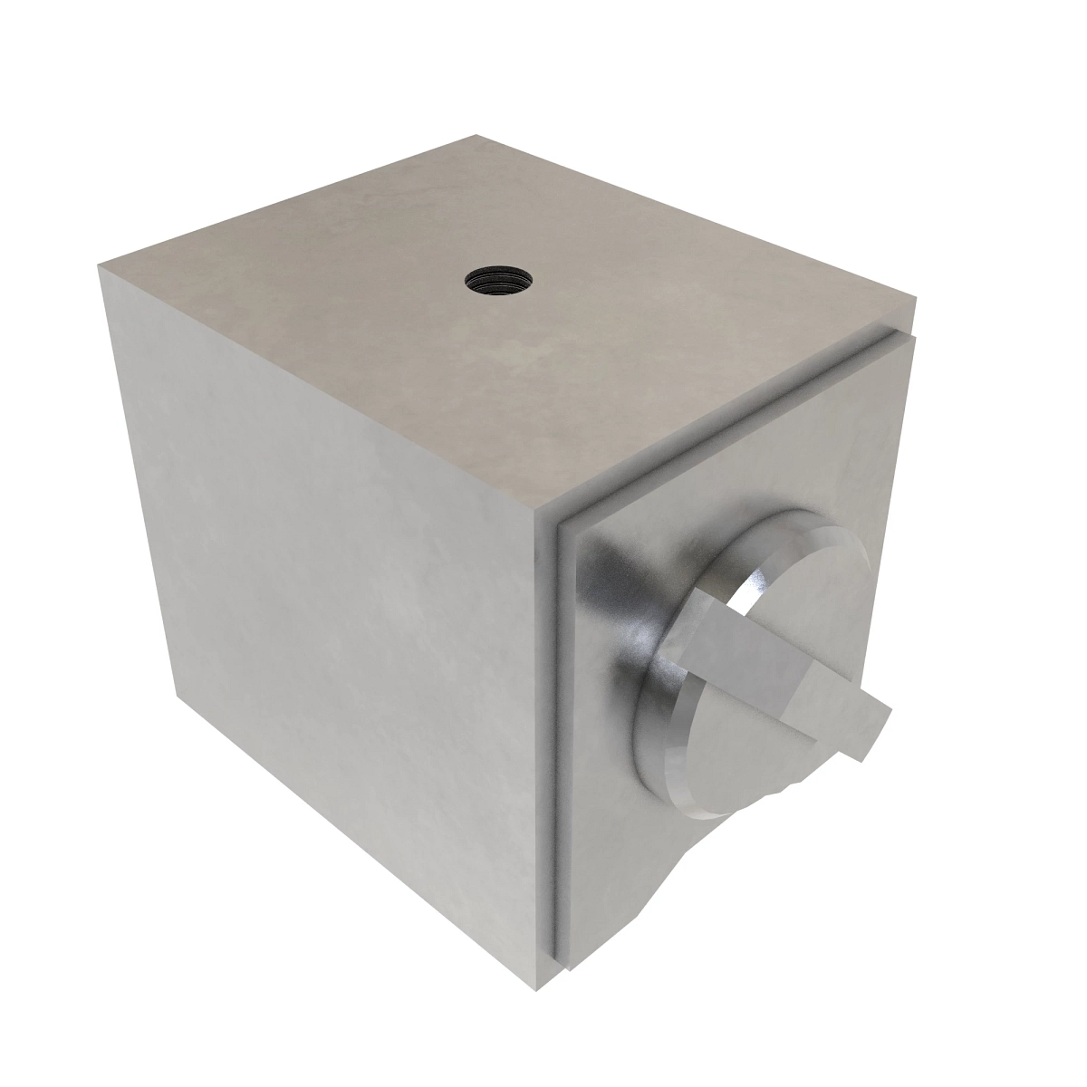 Magnet