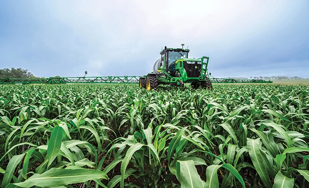 Self-propelled sprayer in corn field