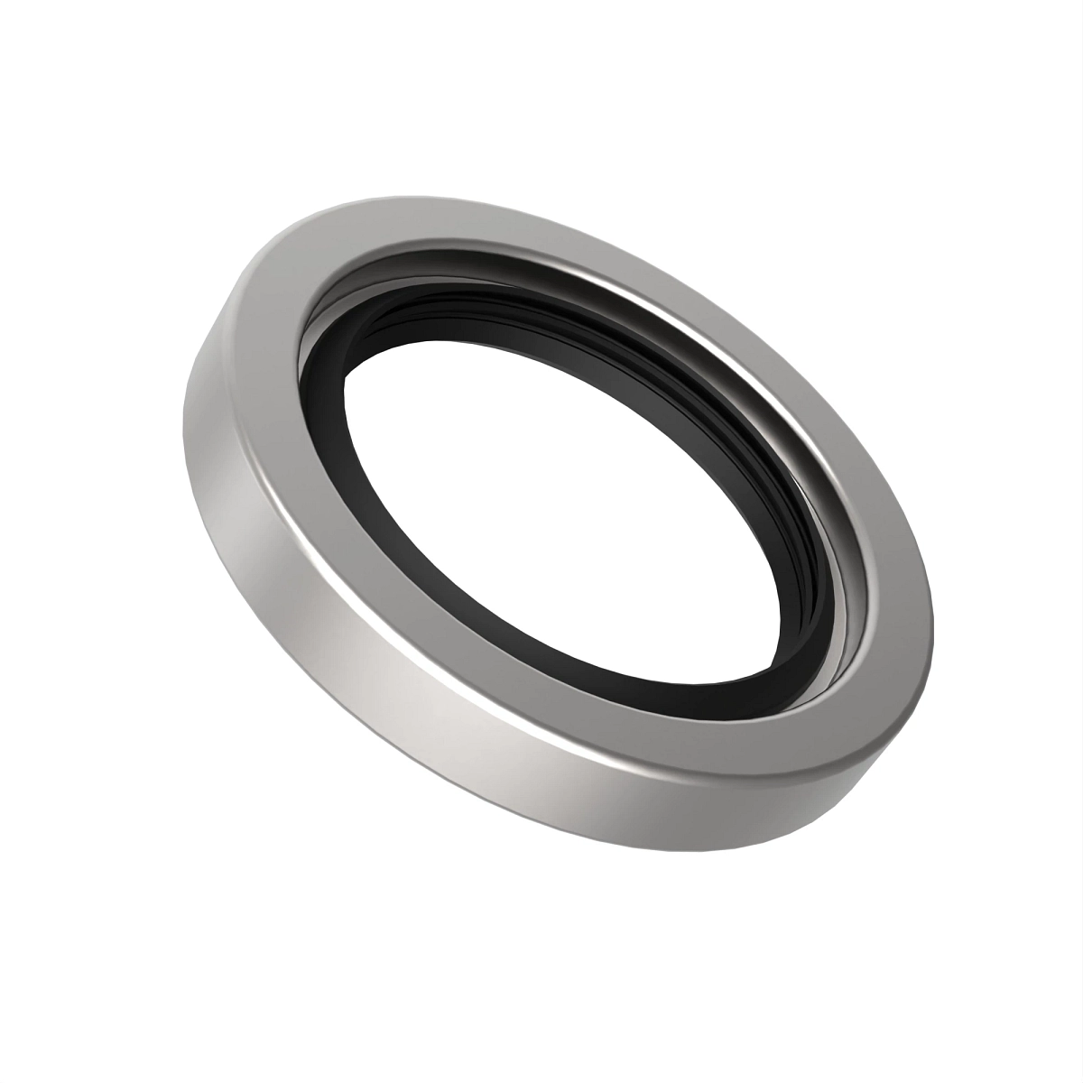 Seal, Input Shaft